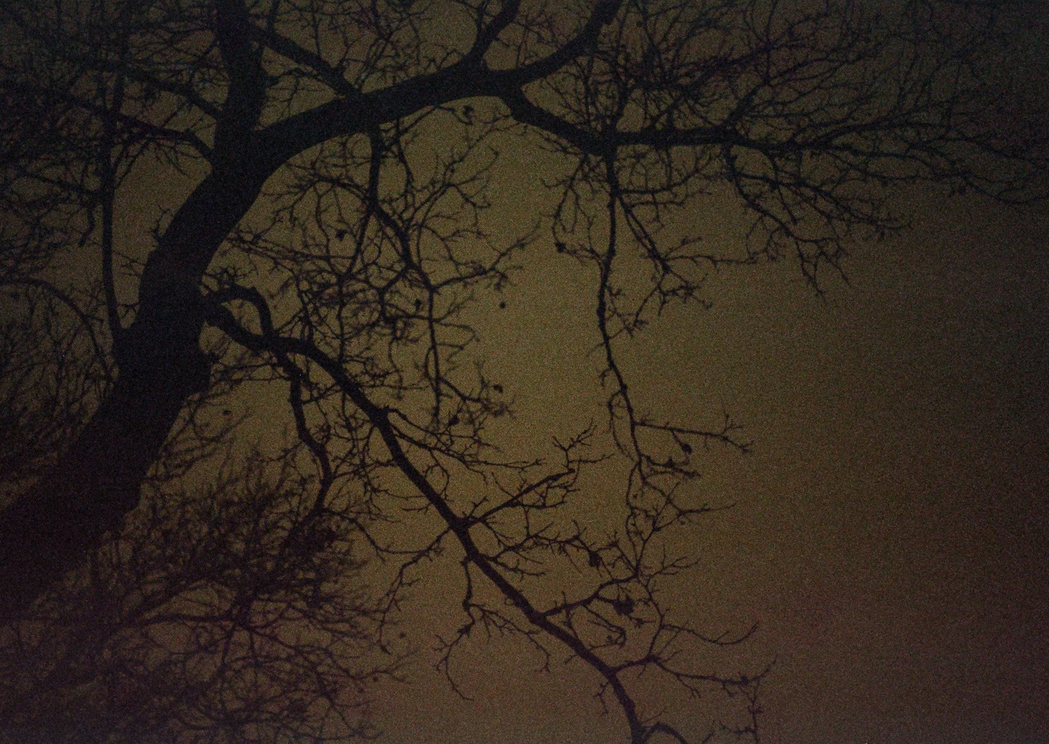 250117 Telfar Bathtub Brooklyn Night Lake Placid 13.jpg