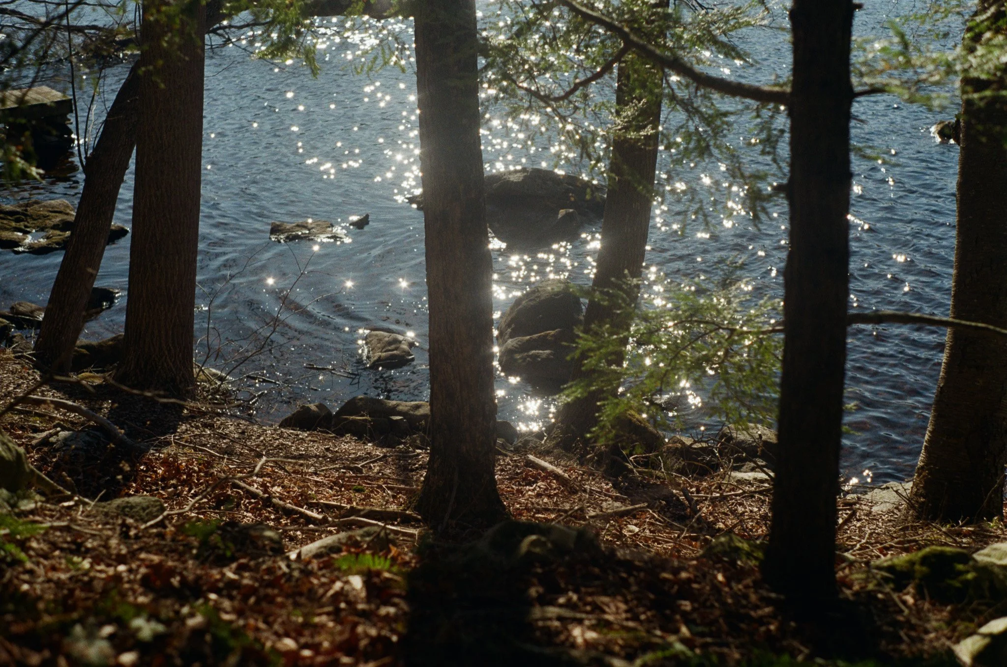 250402 Film Upstate NY Millie Kiki 8.jpg