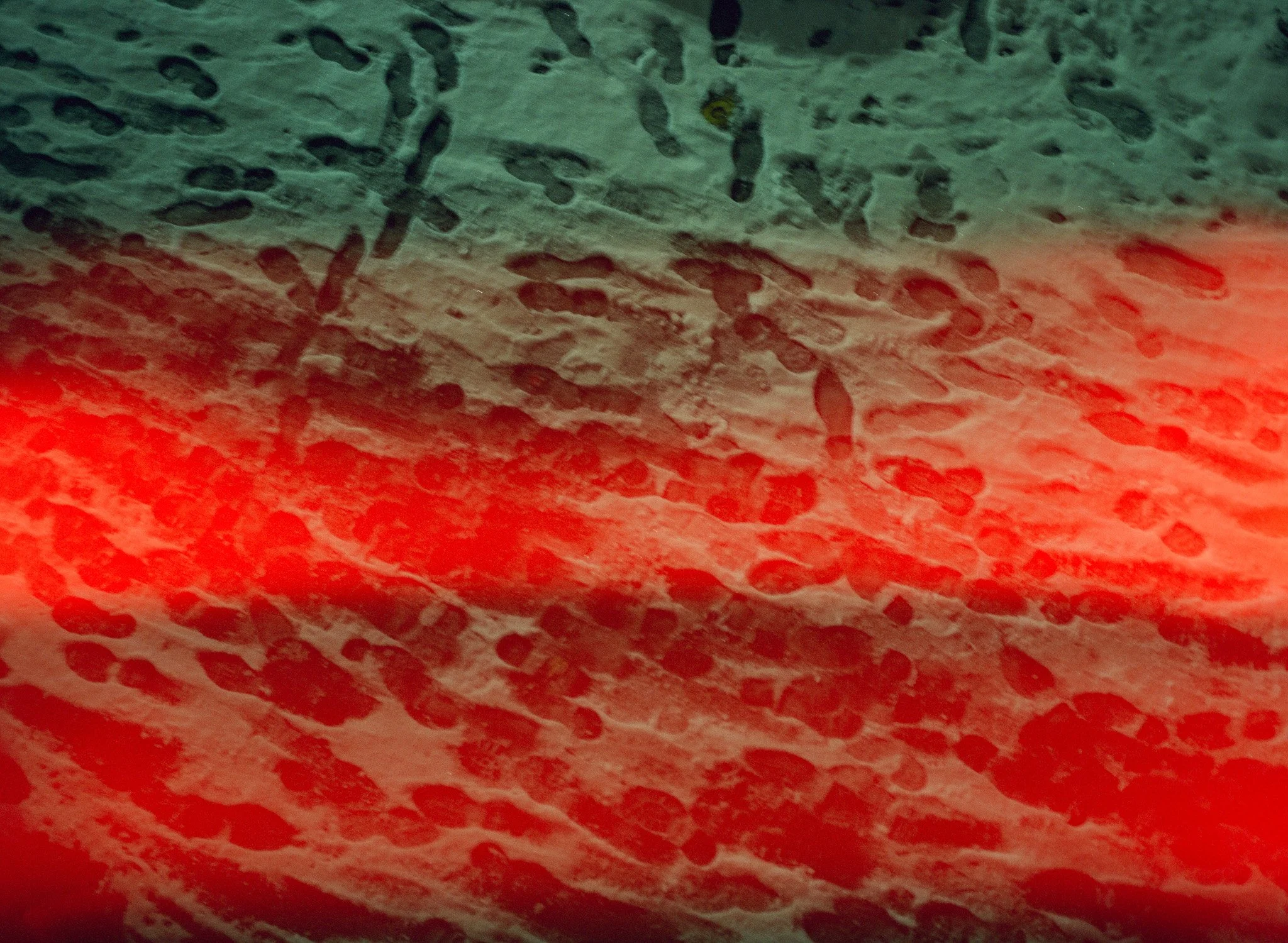 250201 Film Brooklyn Winter_005.jpg