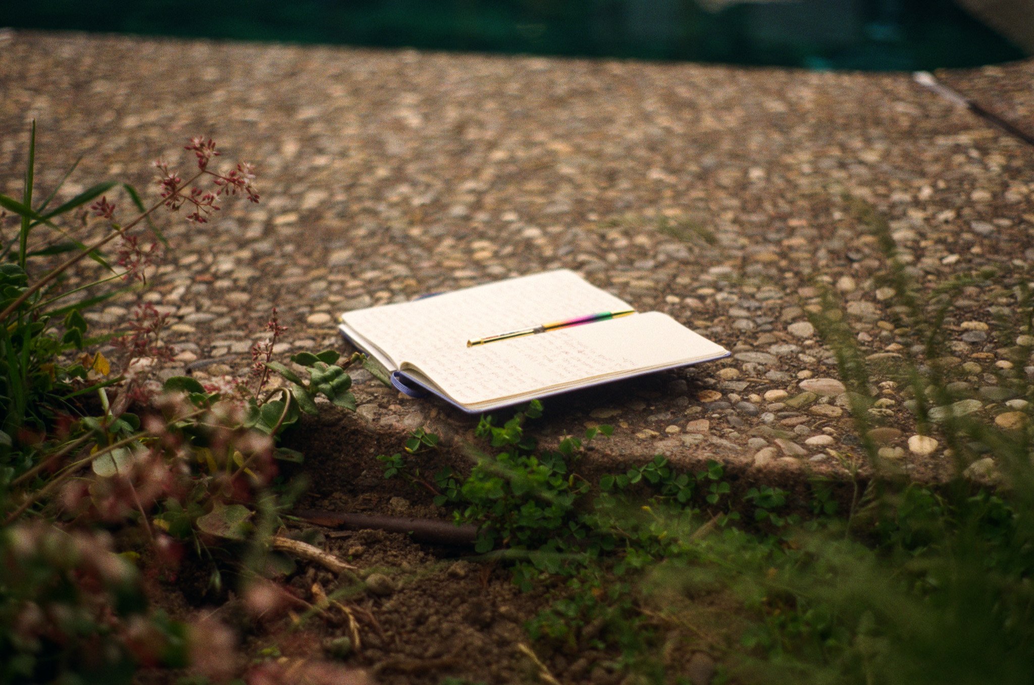 250416 Film Sebastopol Retreat 12.jpg