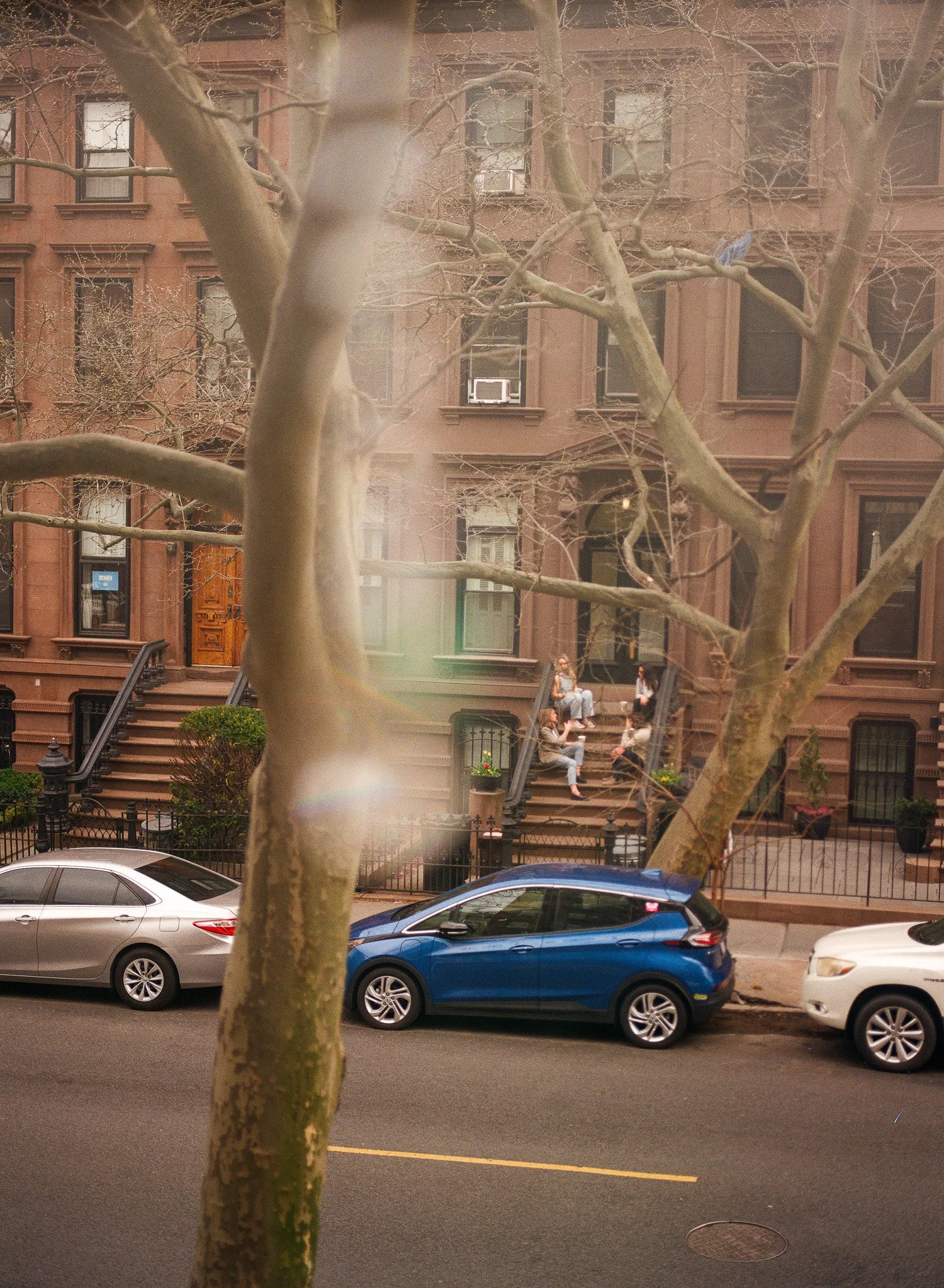 250410 Film Brooklyn Spring Medium Format 11.jpg