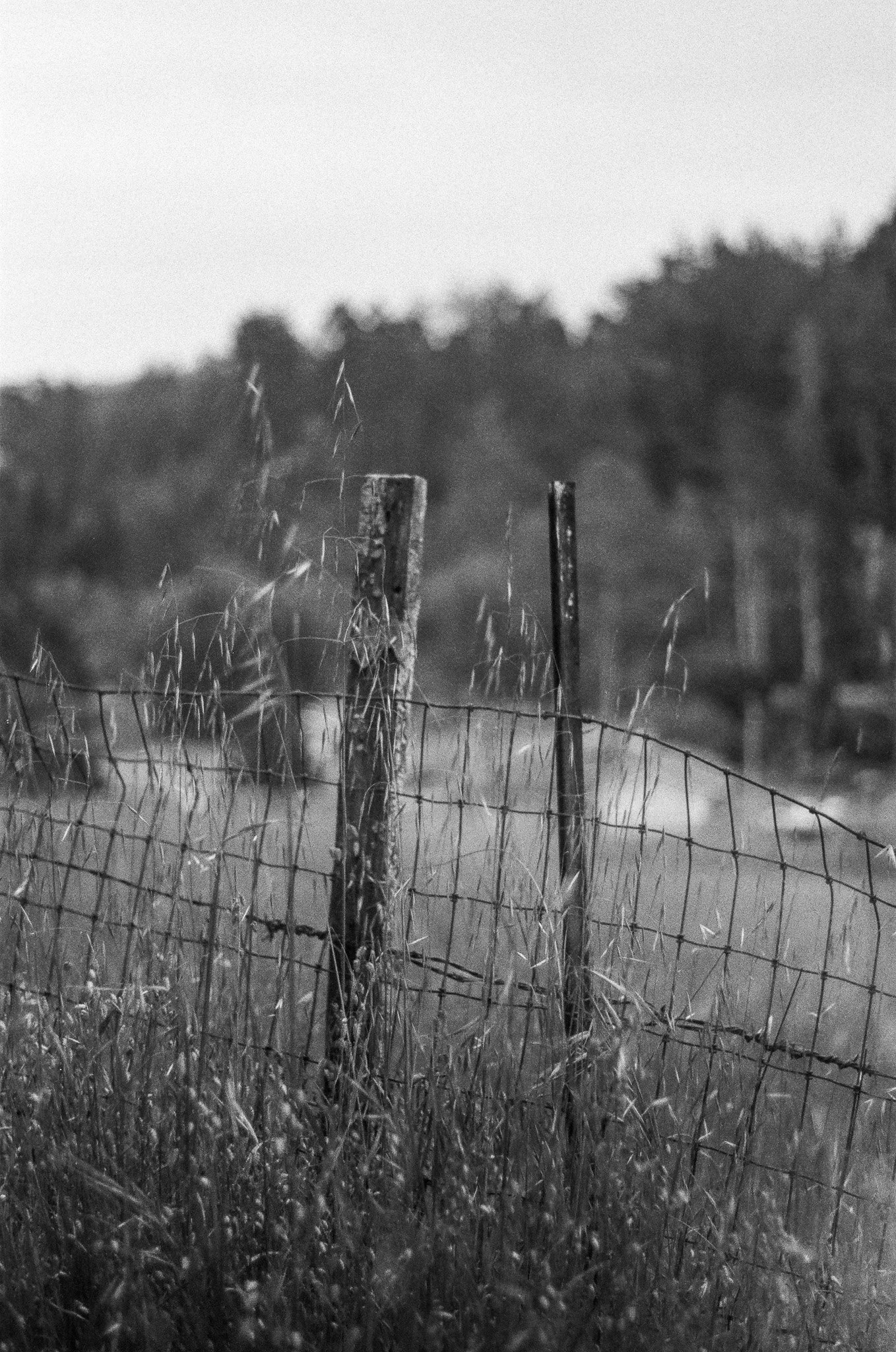 250417 Film Sebastopol Retreat 47.jpg