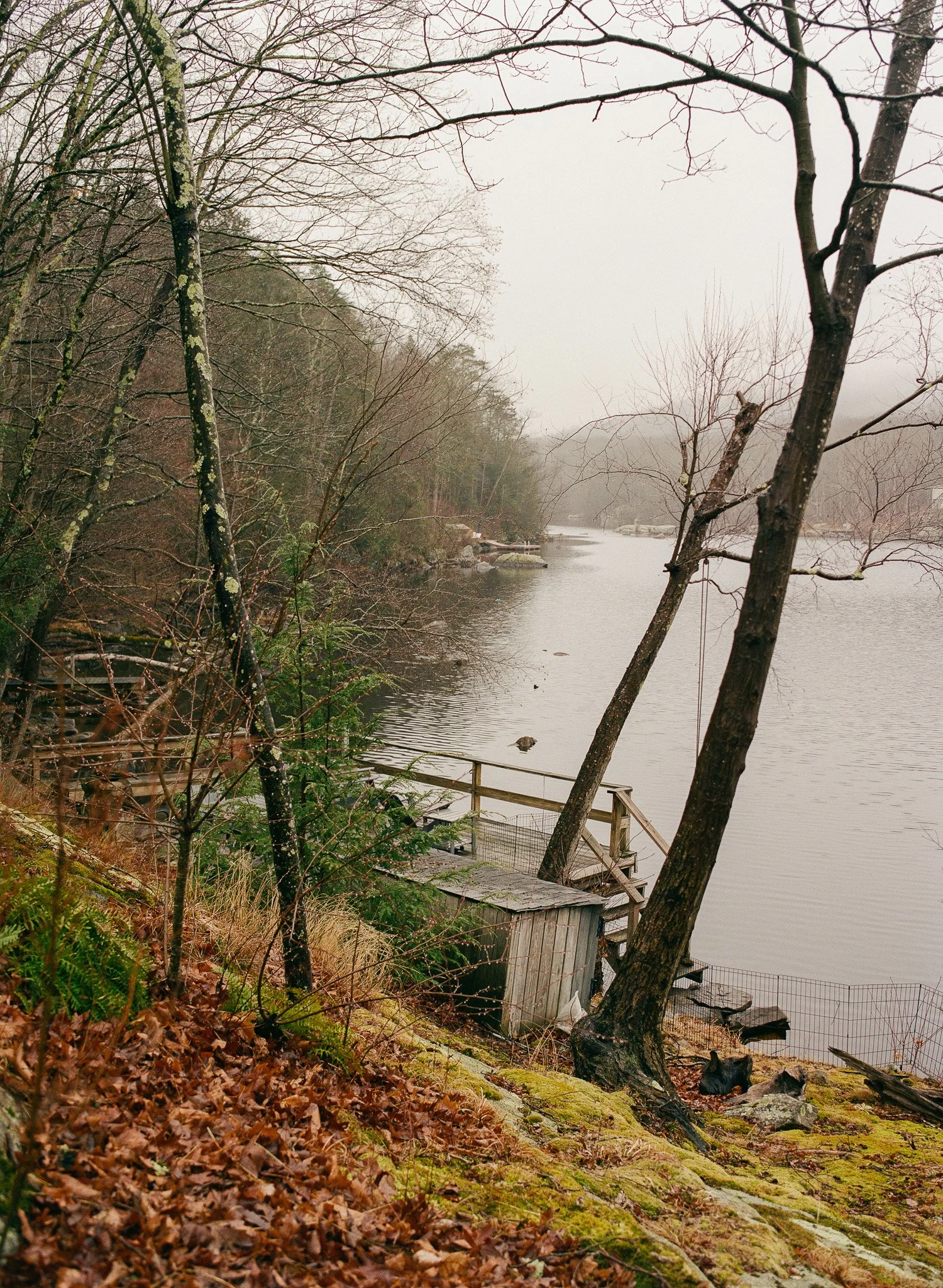 250401 Film Upstate Medium Format 2.jpg