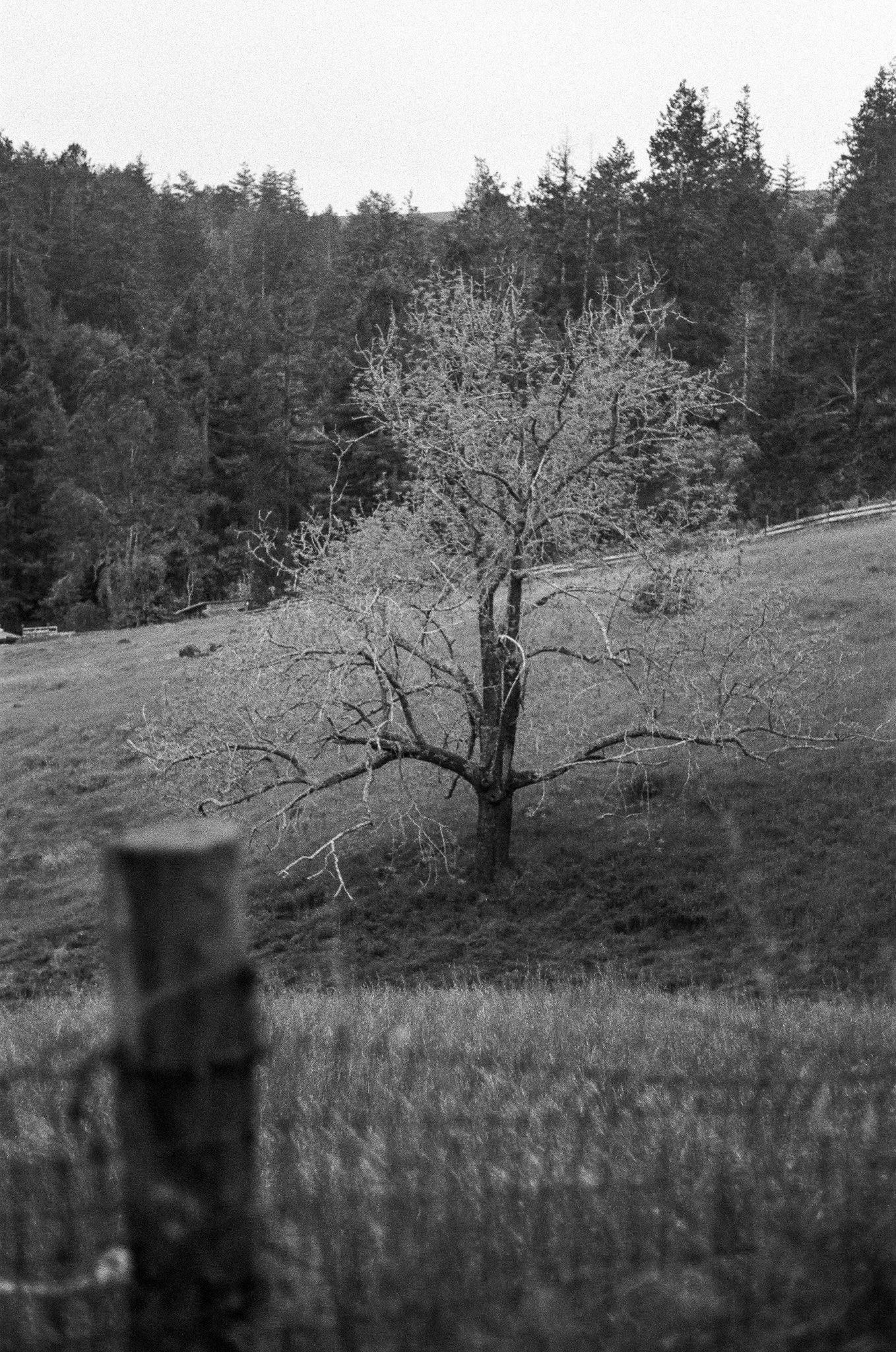 250417 Film Sebastopol Retreat 48.jpg