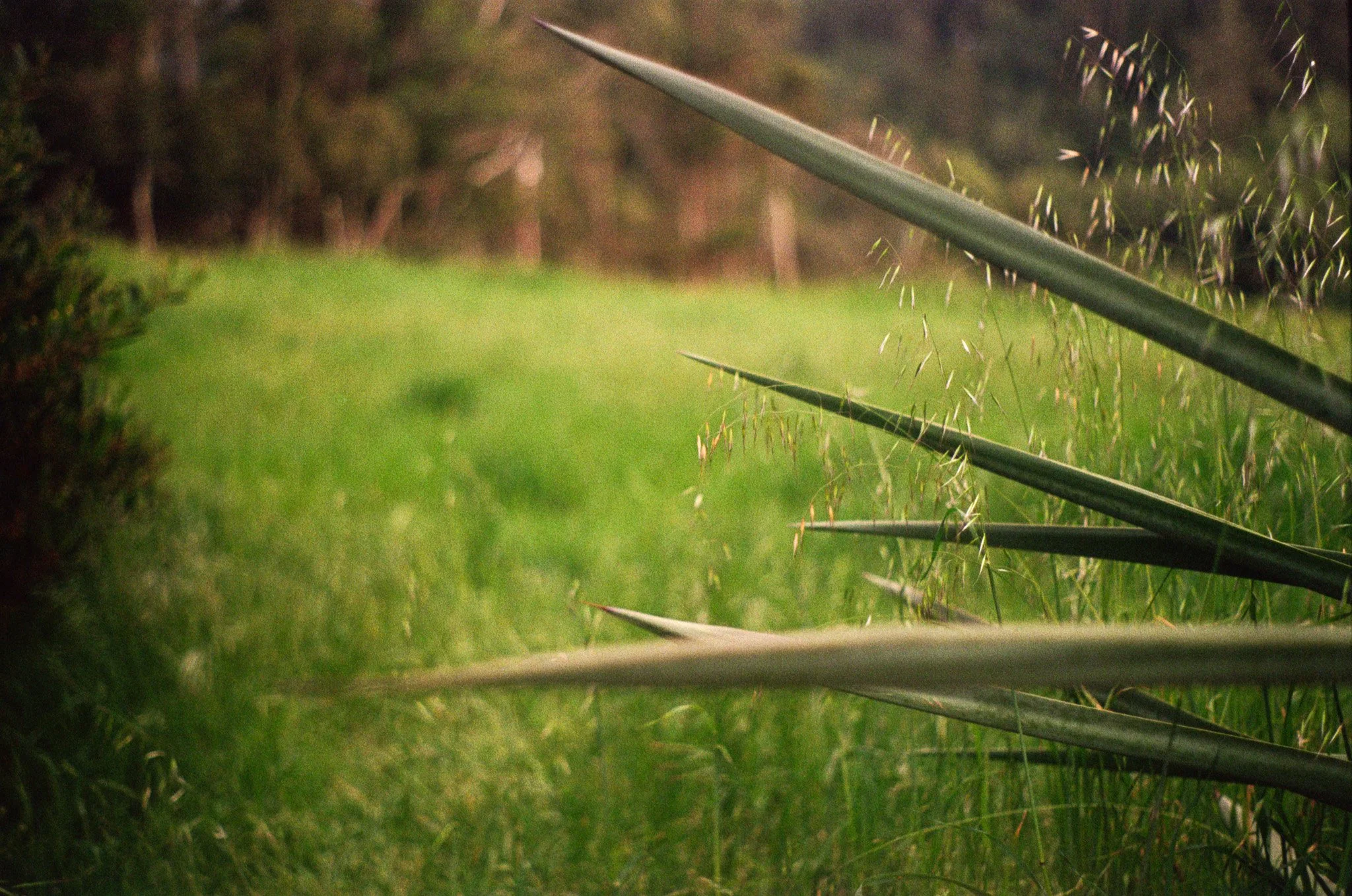 250416 Film Sebastopol Retreat 10.jpg