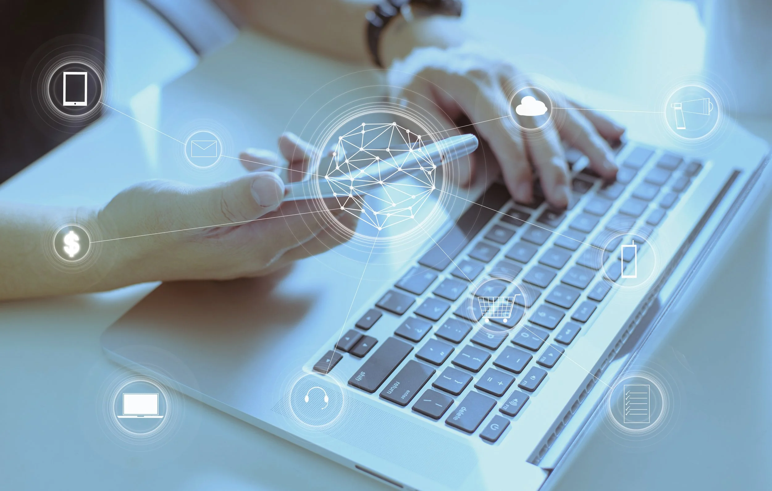 Personal Data Removal Service, Primary Subscription