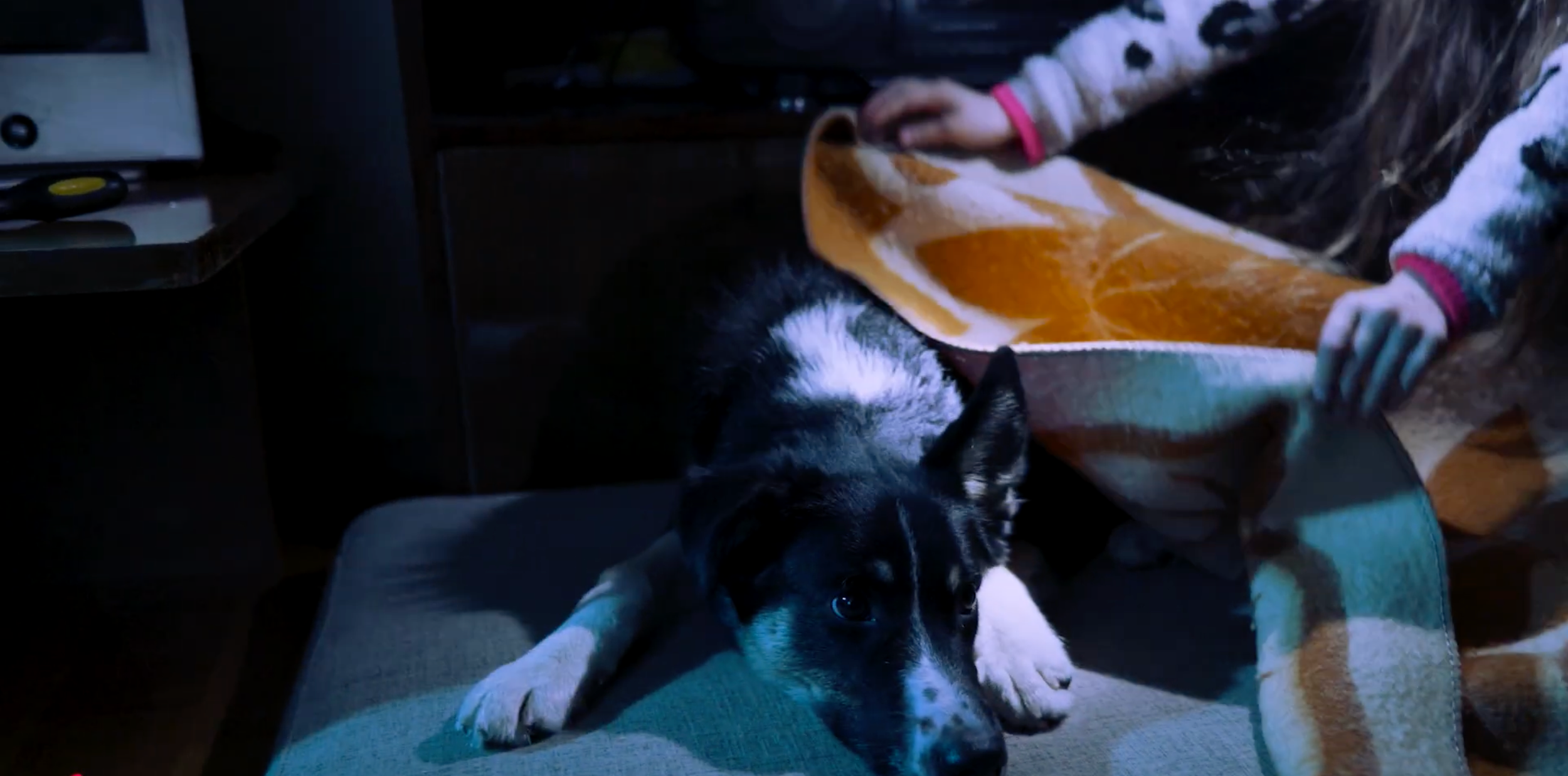 Pagulasabi annetuskampaania