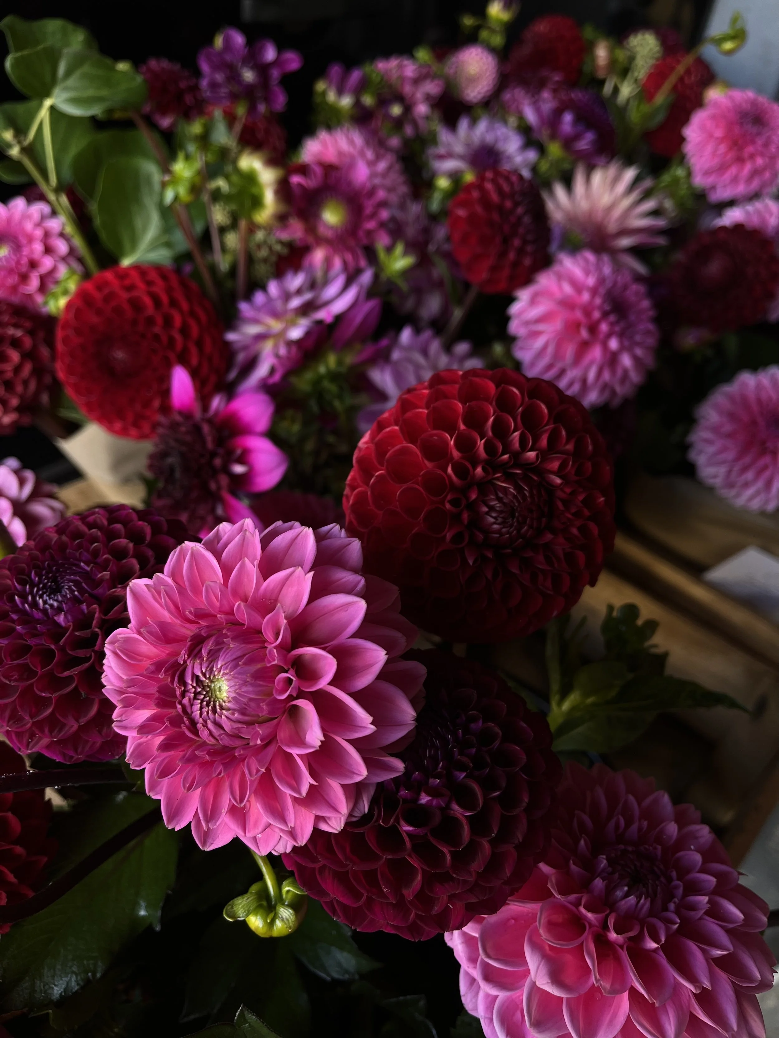 20 stem - Bucket of Blooms