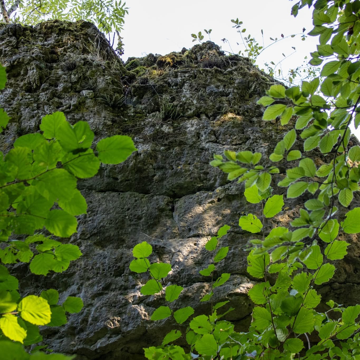 🏞️💚 Ein Tag voller Erinnerungen 💚🏞️
Die beste Zeit ist die, die wir drau&szlig;en verbringen &ndash; mit guten Gespr&auml;chen, frischer Luft und einem Blick auf die unber&uuml;hrte Natur. 🌿😊 Jeder Schritt auf diesem Weg f&uuml;hlt sich an wie 