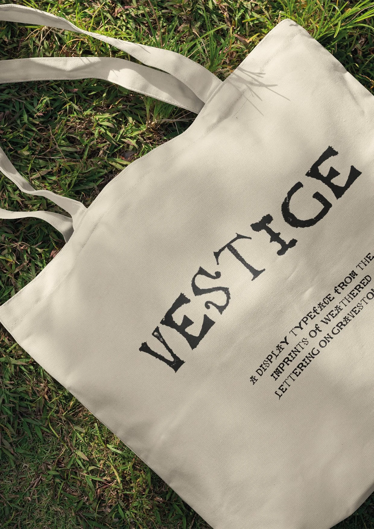 vestige long4.jpg