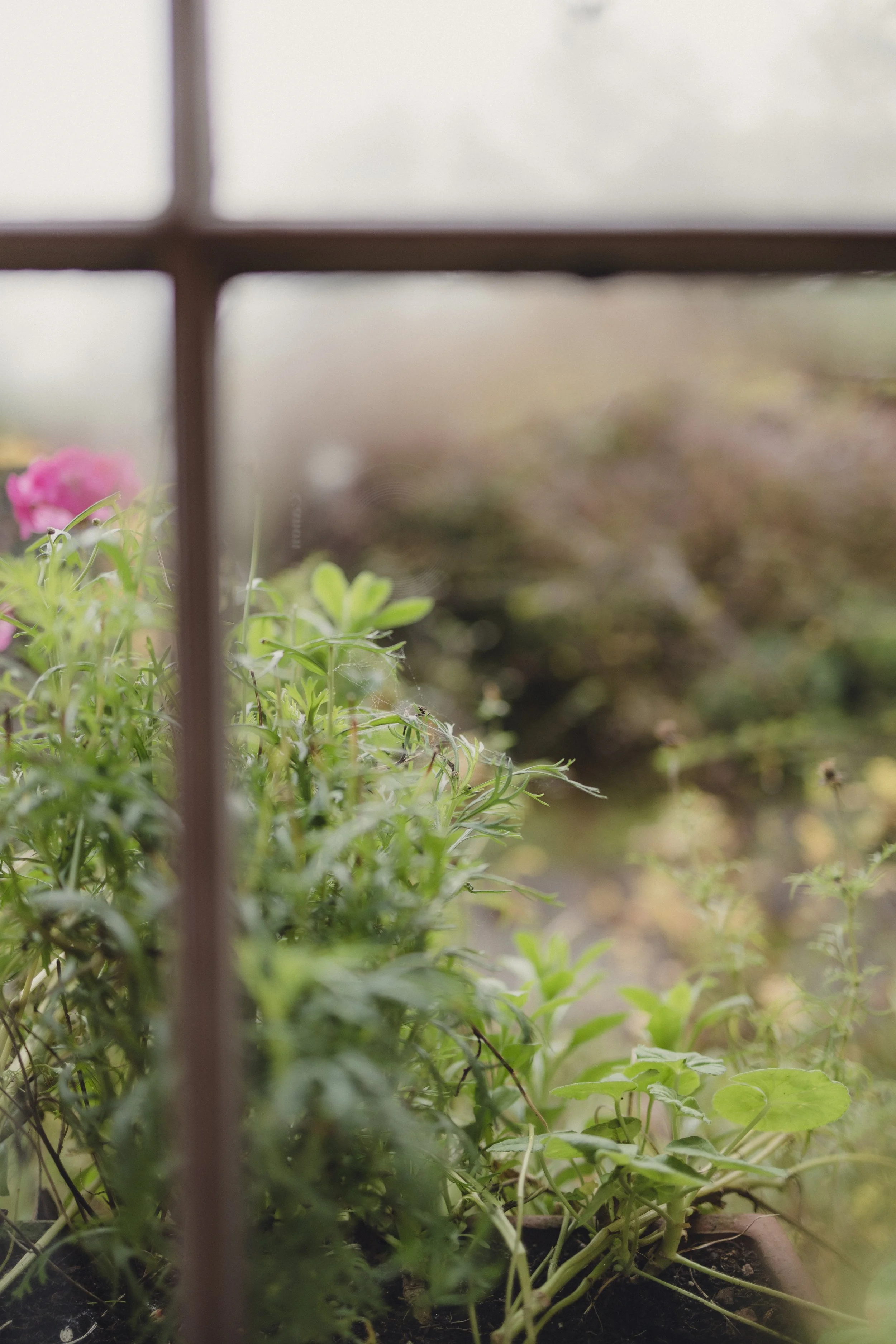 Brook Aurora - Albro Castle-21.jpg