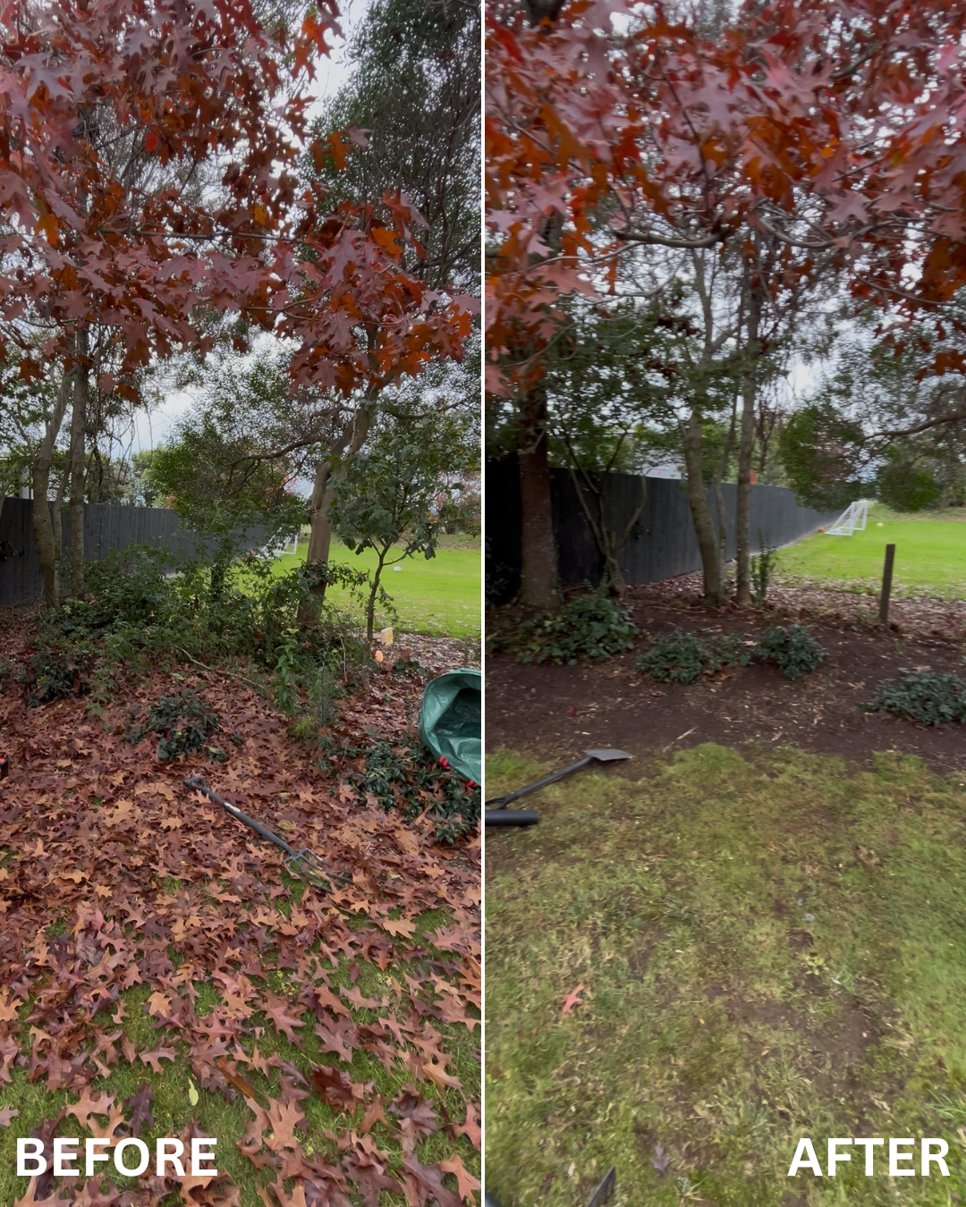 Side-by-side comparison of a backyard before and after yard work. The 'before' side shows fallen leaves covering the ground and leaves on trees, with gardening tools and a bag visible. The 'after' side shows a cleaned yard with mostly cleared ground,