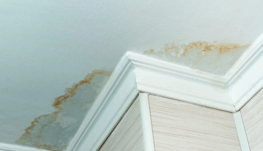 What I Look for in a Home (That Most Agents Miss)