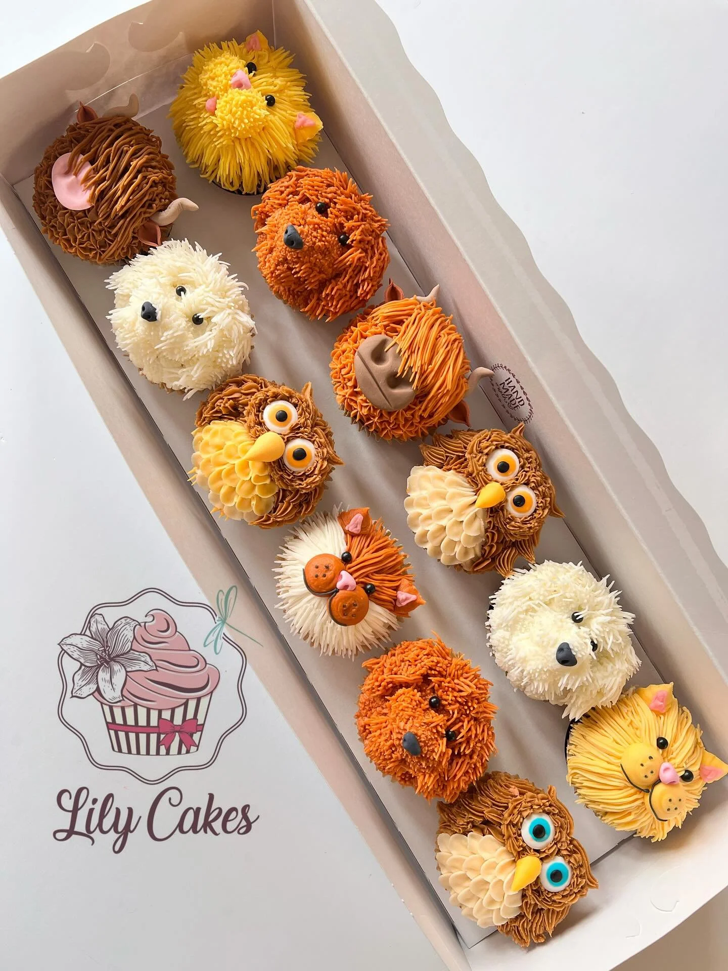 Thank you so much for all the love you&rsquo;ve given these little rascals!! I fell in love with them all too! 🥰🎉

It&rsquo;s a beautiful day today, I hope you have many moments that make you smile!!🍁🍂&hearts;️

#lilycakestylertx #buttercream #cu