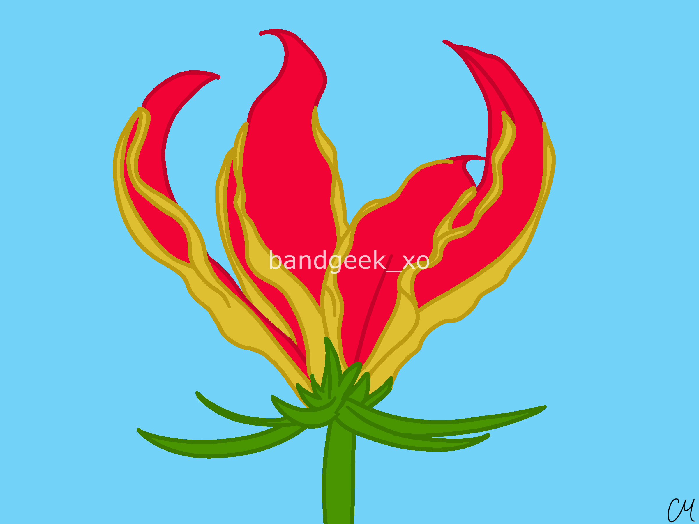 38_L_FLAME LILY_8x6.png