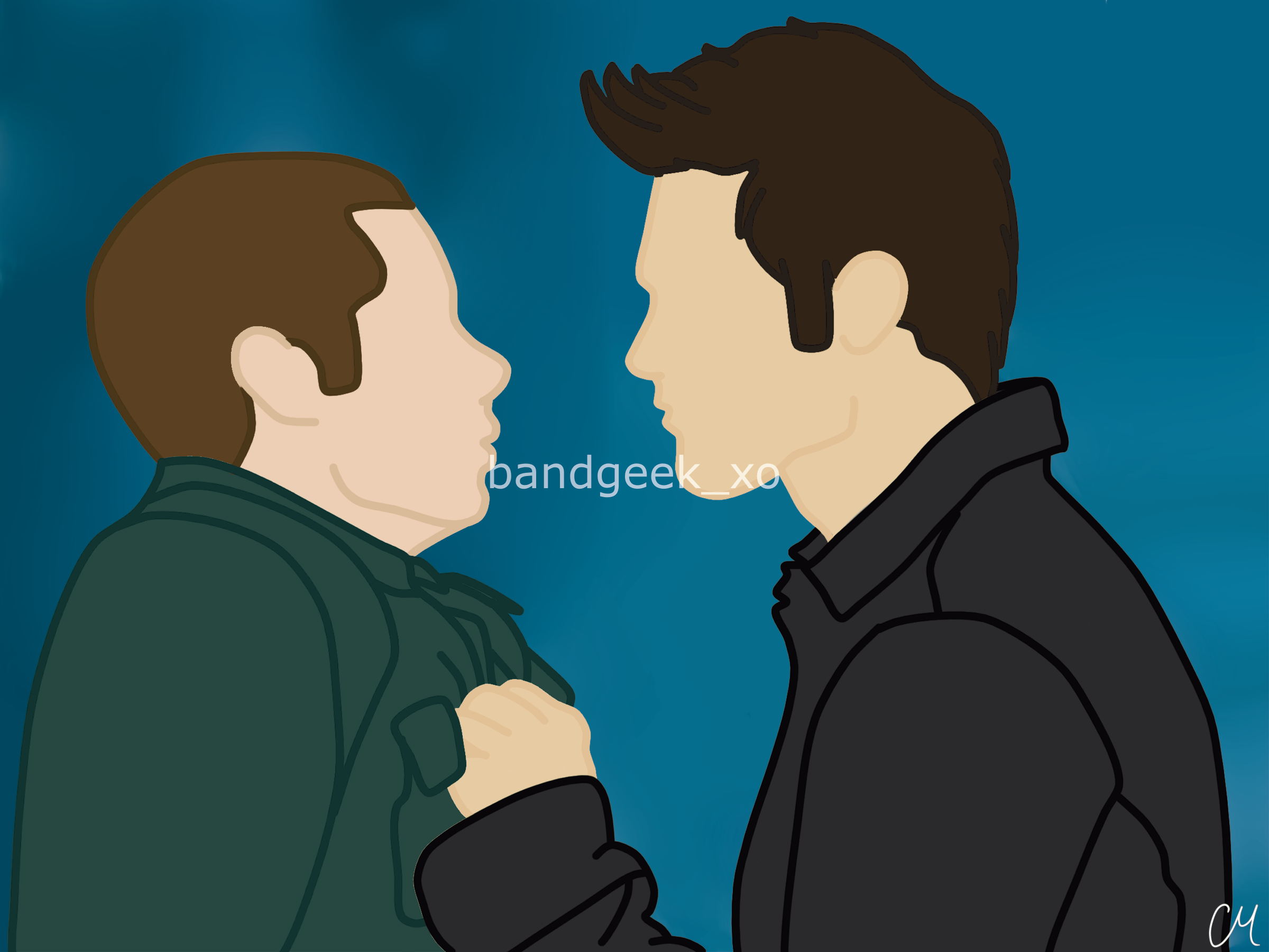 13_L_sterek_8x6.png