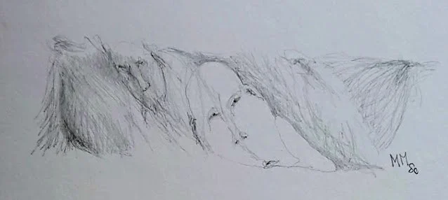 Aus meinem 1. privaten Buch -Texte und Zeichnungen.