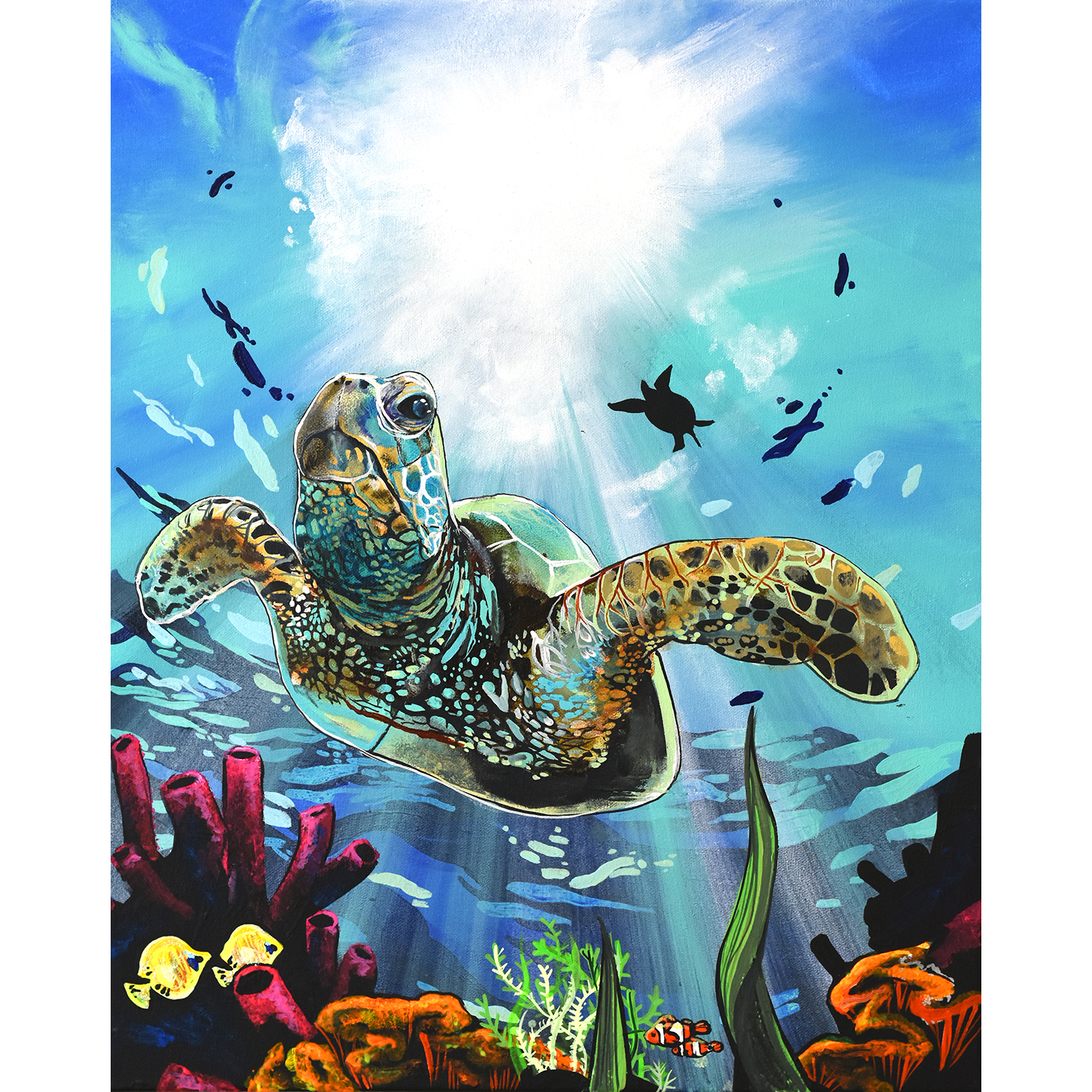 Sea Turtle