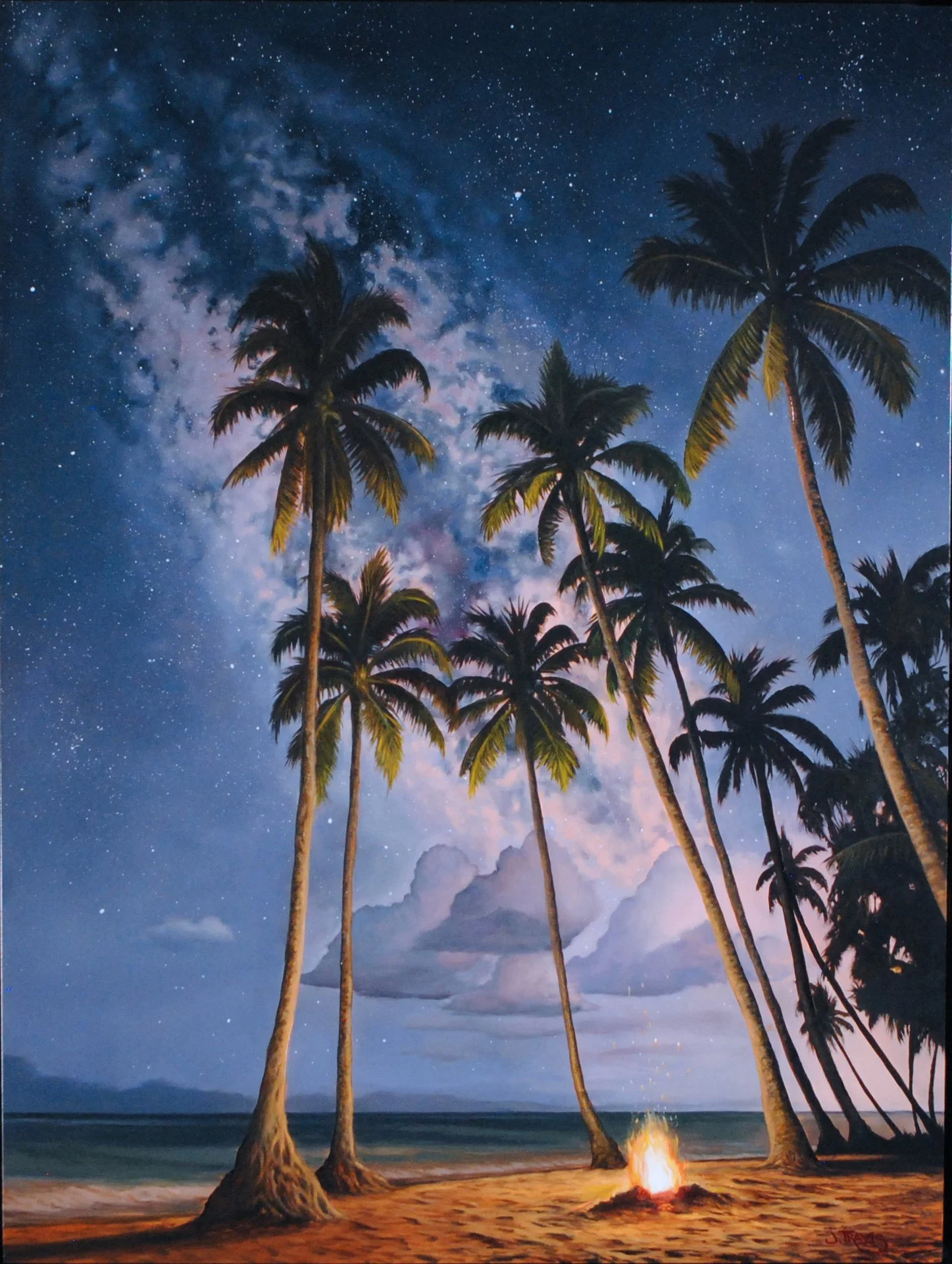 Summoning the Spirit of Night 18x24.jpg