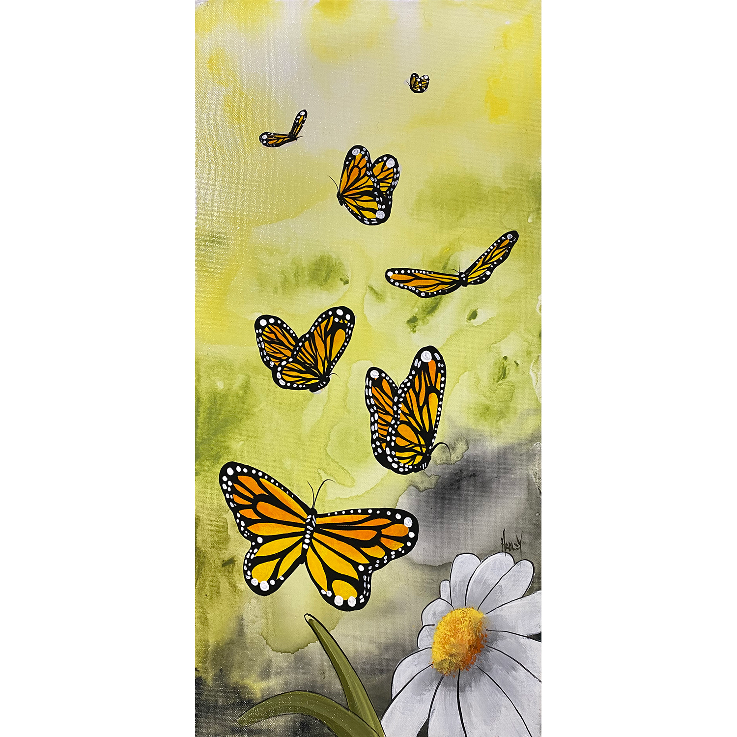 MH-Daisy-Dance-10x20-O_web.png