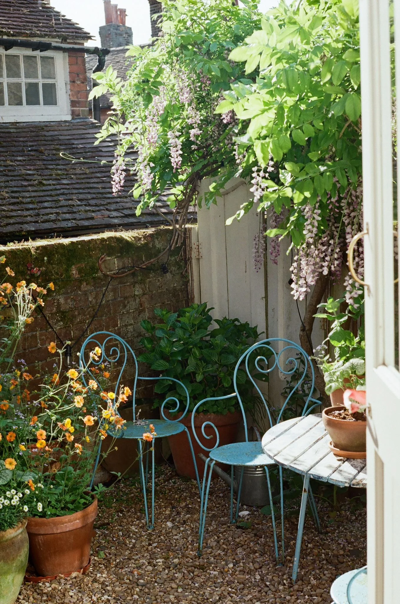 Charming courtyard garden at Dot Cottage Rye with cottage planting, romantic details and a peaceful outdoor space full of character.
