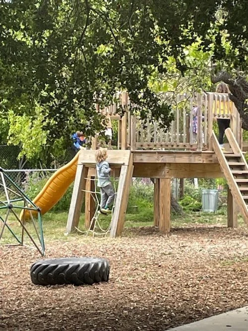 Children playing on a wooden playground structure with a slide, in a backyard with trees and a tire swing.
