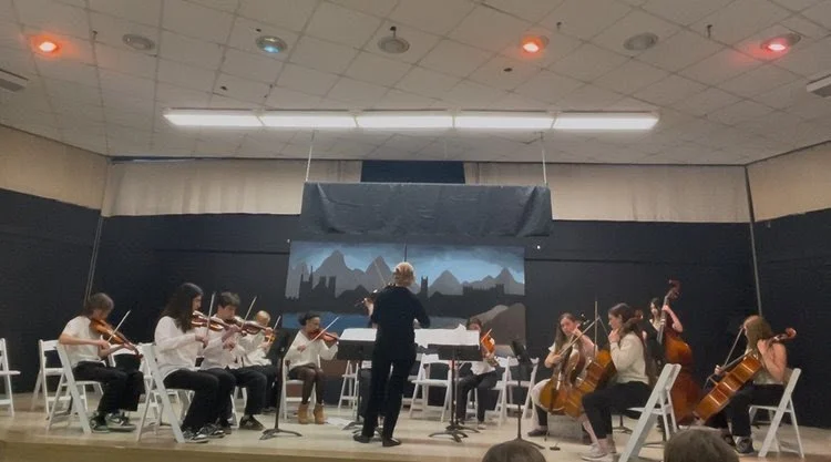 Orchestra of children playing string instruments on stage with conductor leading, a backdrop of skyline and mountains, in a school or community hall.
