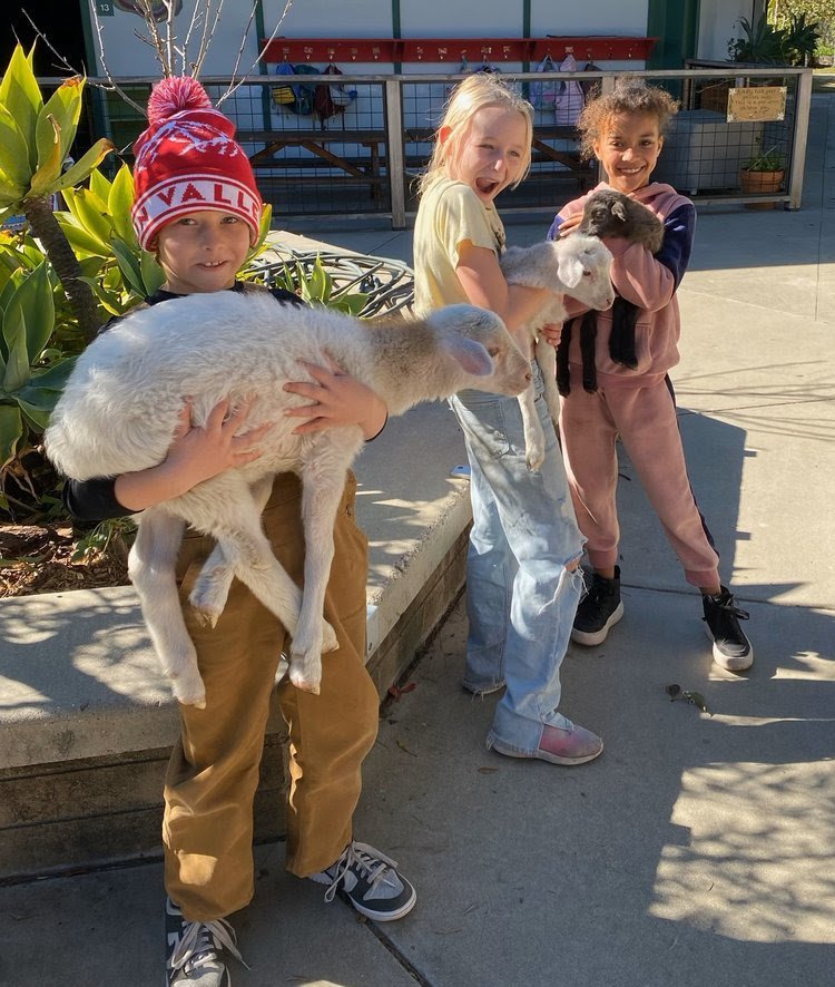 Three children standing outdoors, each holding a small goat. The children are smiling and appear happy, with sunlight casting shadows on the ground.
