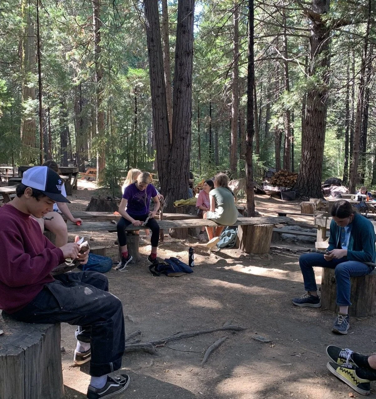 Group of children sitting on wooden stumps and benches in a forest, some using phones, surrounded by tall trees and camping equipment.