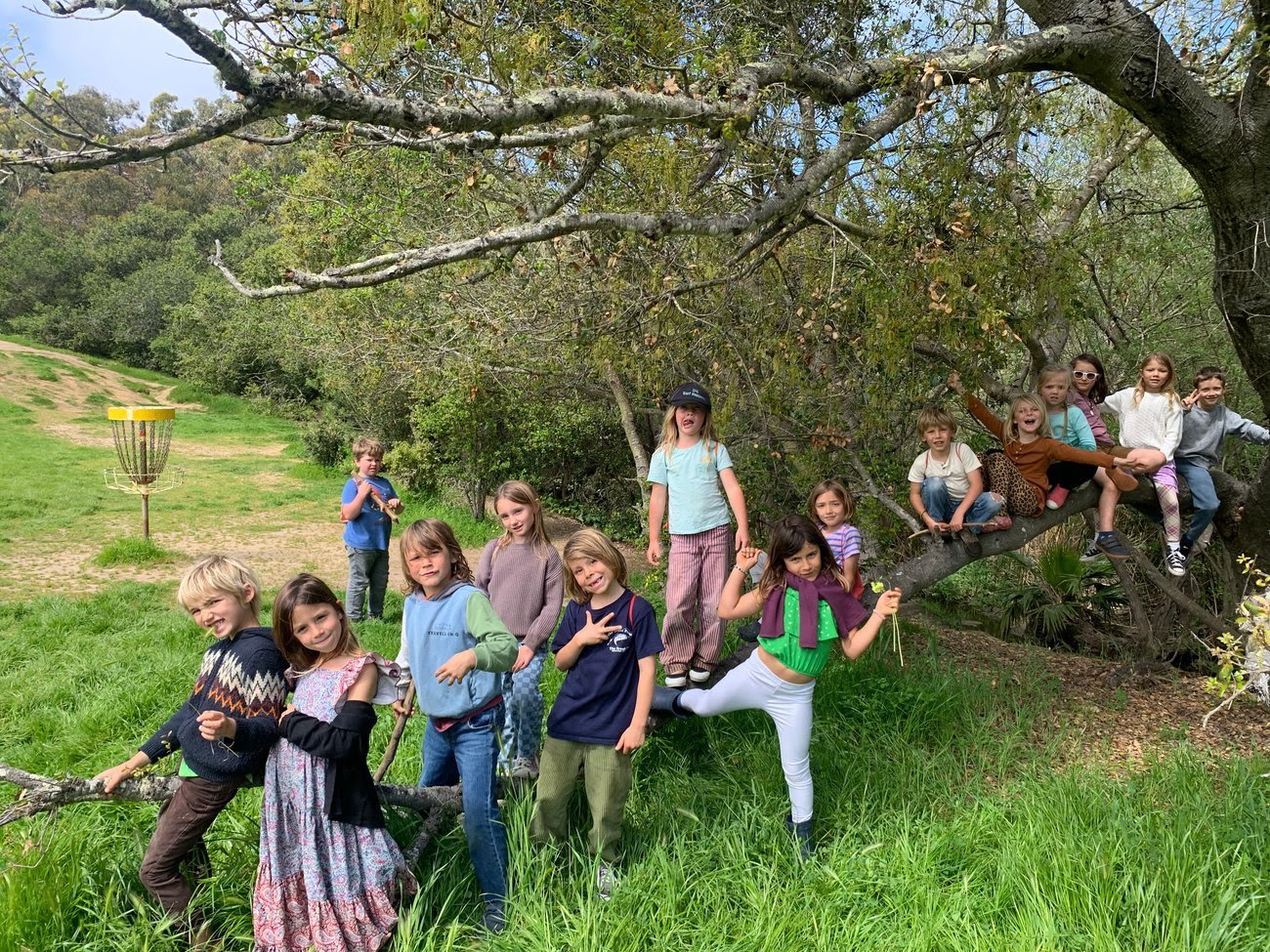 Children playing outdoors on a tree branch with green grass and trees in the background on a sunny day.