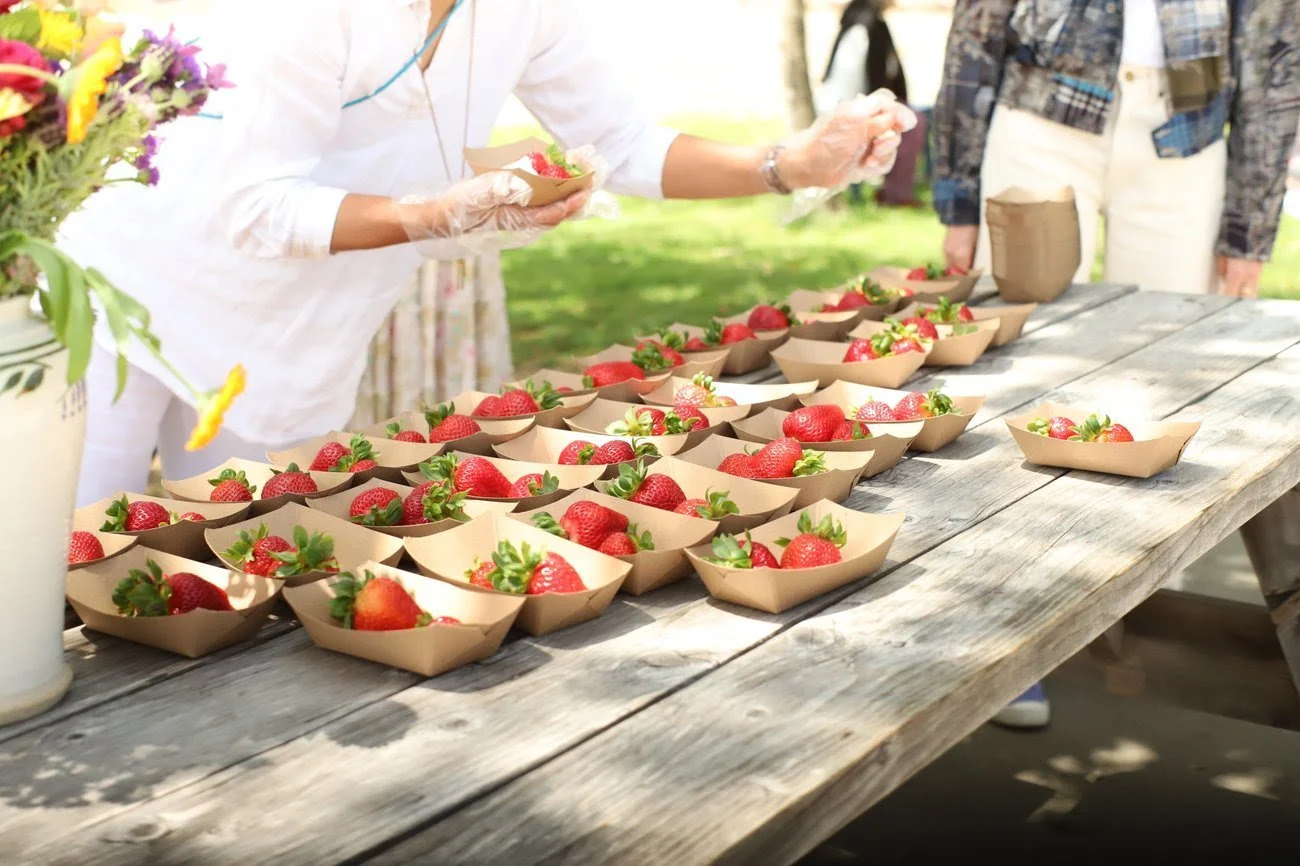 Multiple small paper bowls filled with strawberries lined up on a rustic wooden table at an outdoor event.