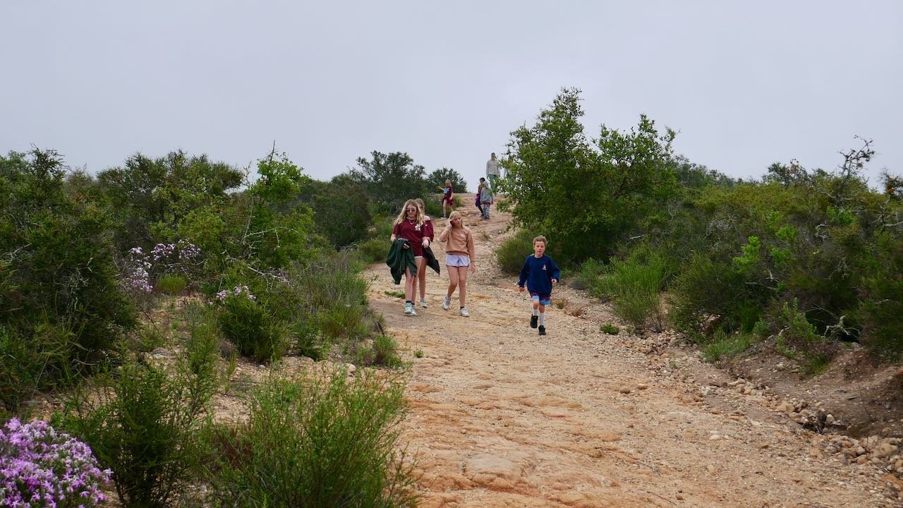 People hiking up a dirt trail on a cloudy day, surrounded by green bushes and small purple flowers.