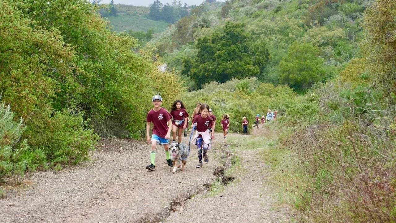 Group of children walking on a dirt trail in a green, hilly forest, some with a dog.