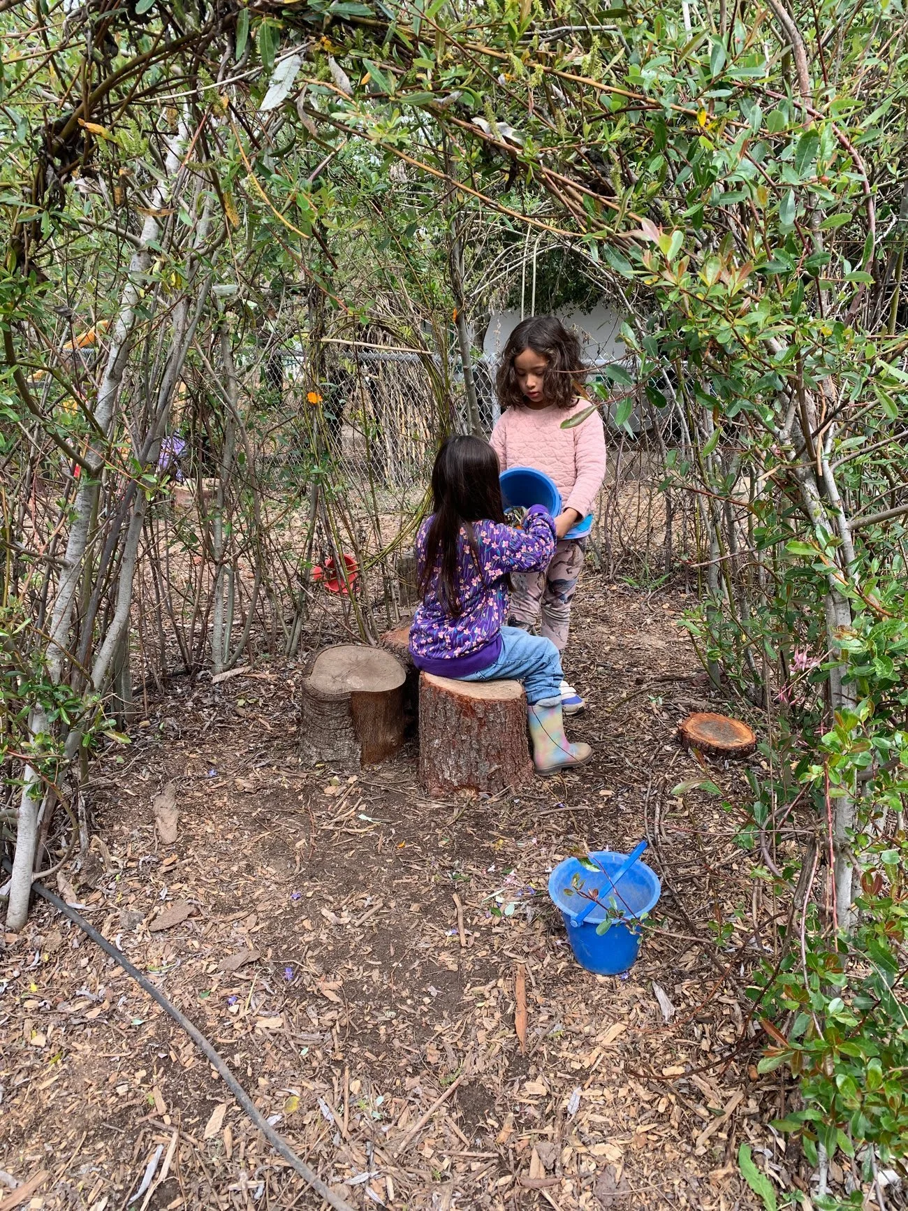 Two young girls playing in a woodland area with two tree-stump seats, one girl sitting and the other standing, both holding a blue bucket with a shovel, surrounded by dense bushes and branches.