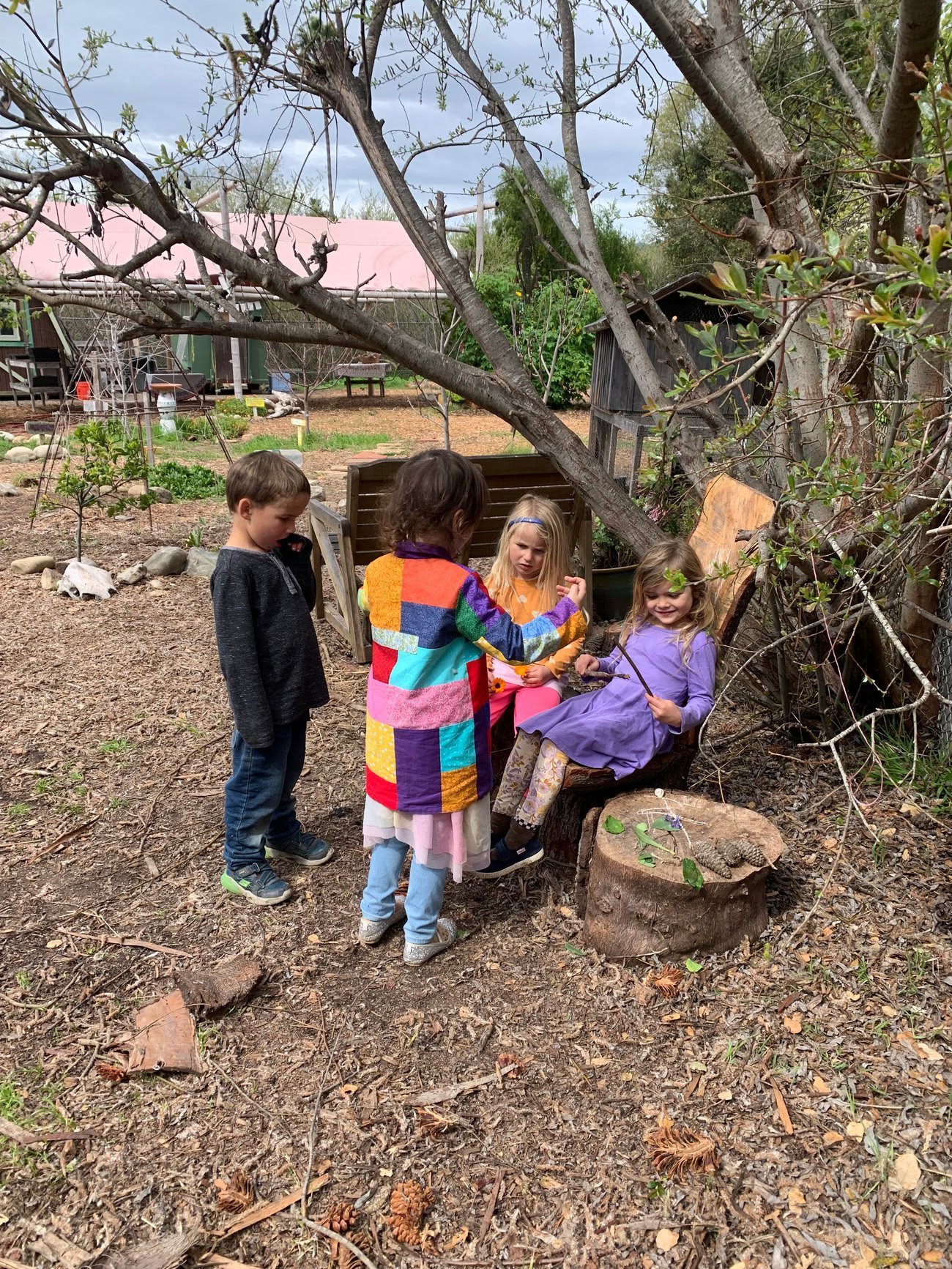 Four children playing outdoors among trees and branches, one girl sitting on a tree stump with a branch in her hand, while the other three stand nearby, one girl appears to be showing something to the seated girl. The setting resembles a backyard or 