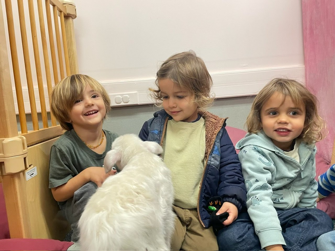 Three young children, two boys and a girl, sitting on a pink cushioned surface with a white goat kid in front of them. The children are smiling and looking at the goat.