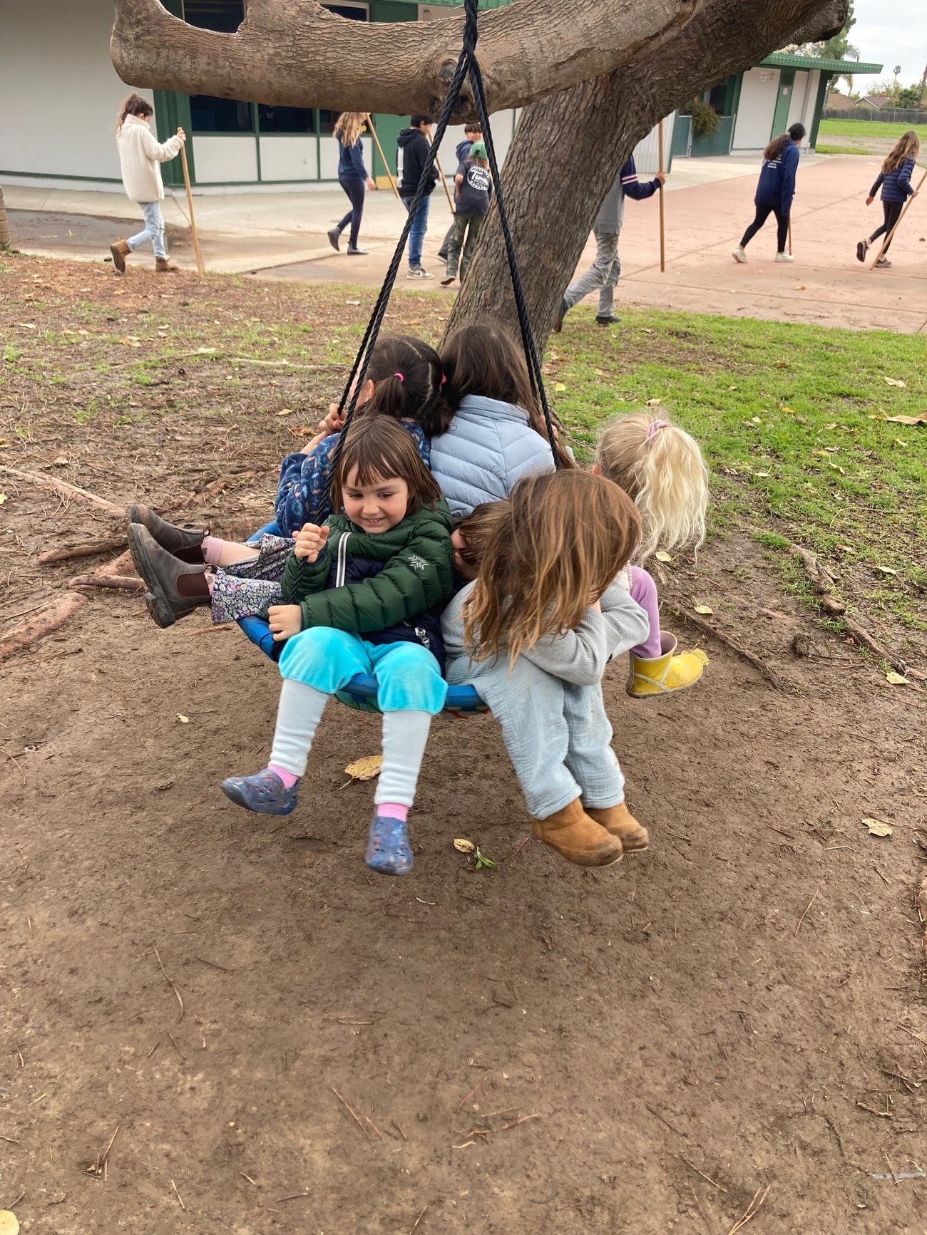 Several children are sitting on a swing attached to a tree in a playground, with some children walking past in the background.