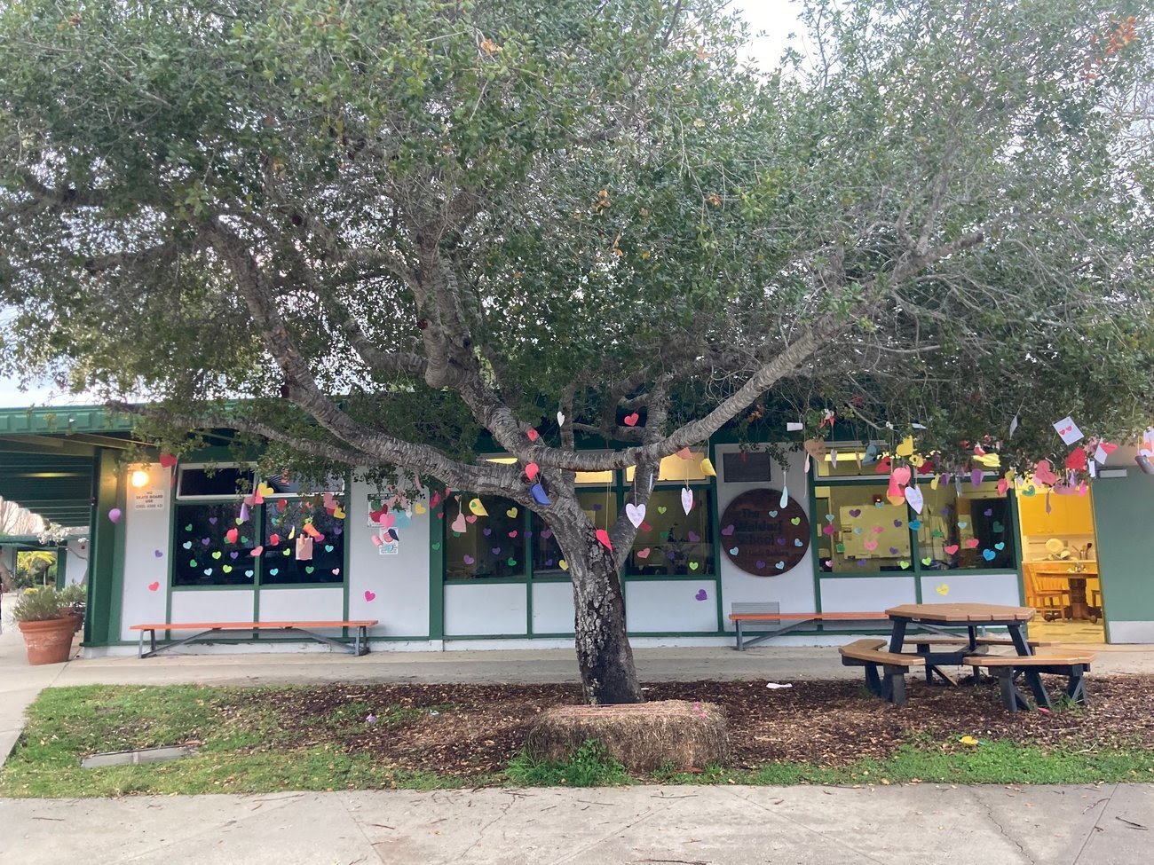 A building with large windows decorated with colorful paper hearts and shapes hanging from a tree in front. There are picnic tables and a potted plant outside.