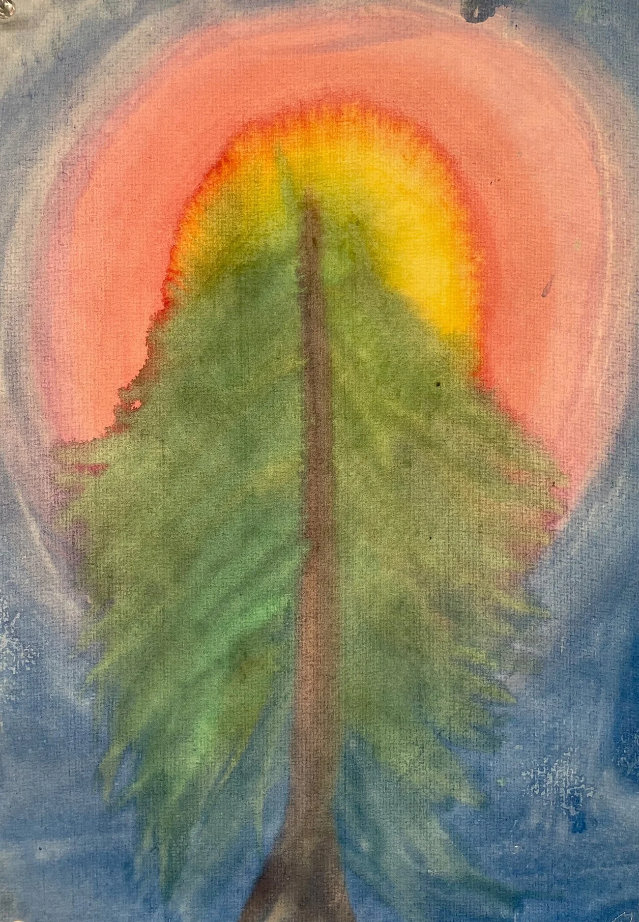Watercolor painting of a green pine tree with a pink and yellow sunrise or sunset in the background.