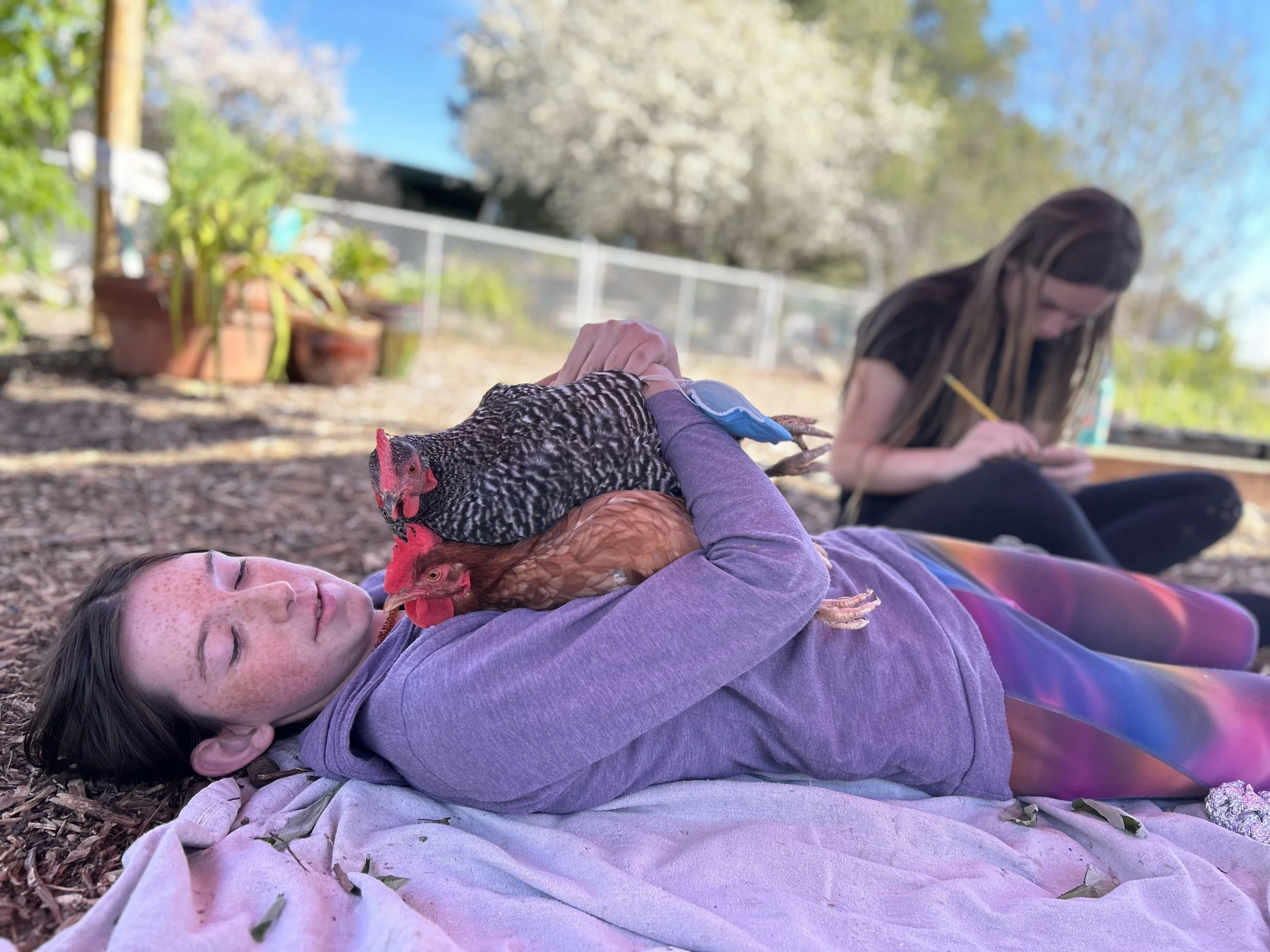A girl lying on the ground outdoors holding a chicken and a zebra dove, while another girl in the background writes or draws on a notepad.