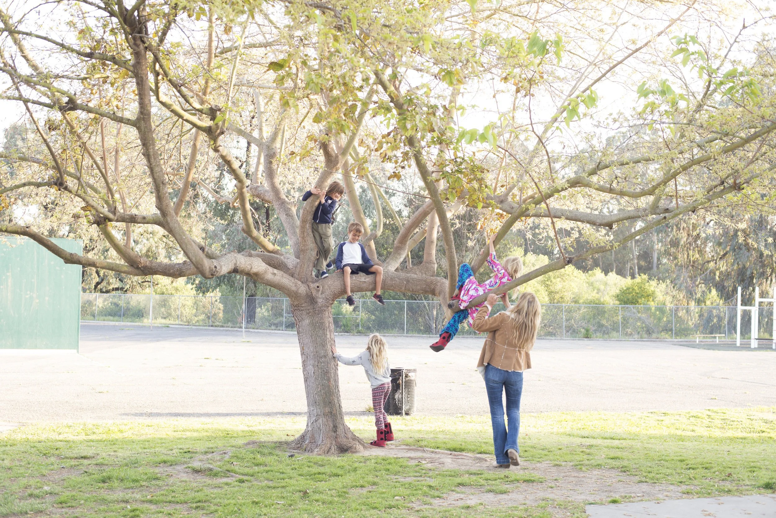 Children playing on a large tree in a park while a woman supervises.