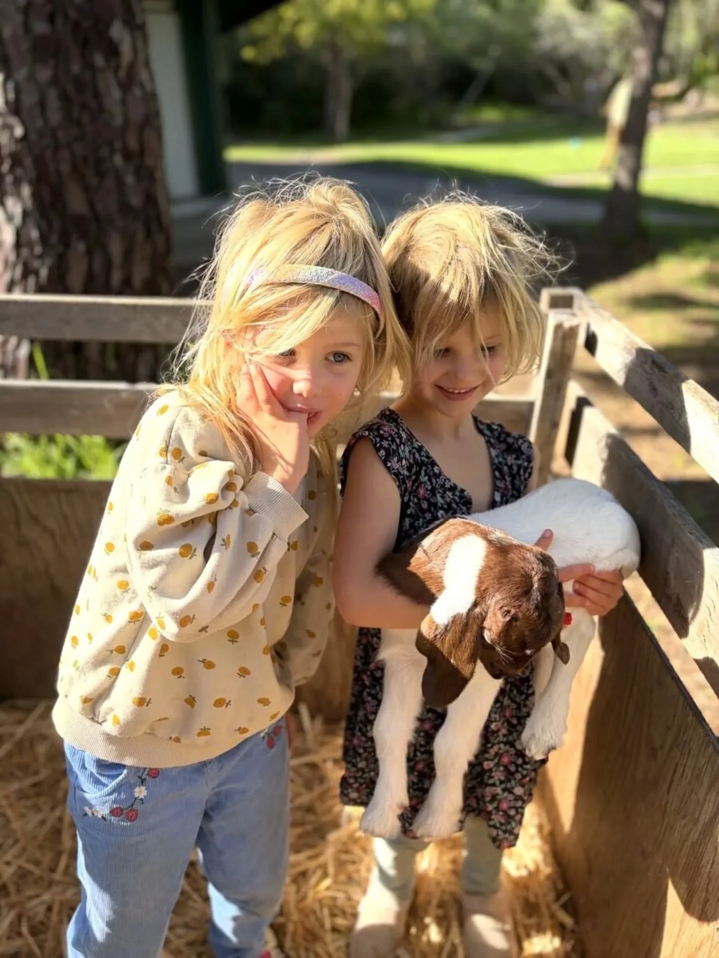 For over 11 years,&nbsp;Farmer Larry&nbsp;has been bringing &ldquo;bottle babies,&rdquo; baby lambs and goats who are unable to nurse from their mothers to our school.&nbsp;The babies are delivered every morning to the Grade 3 classroom where the stu