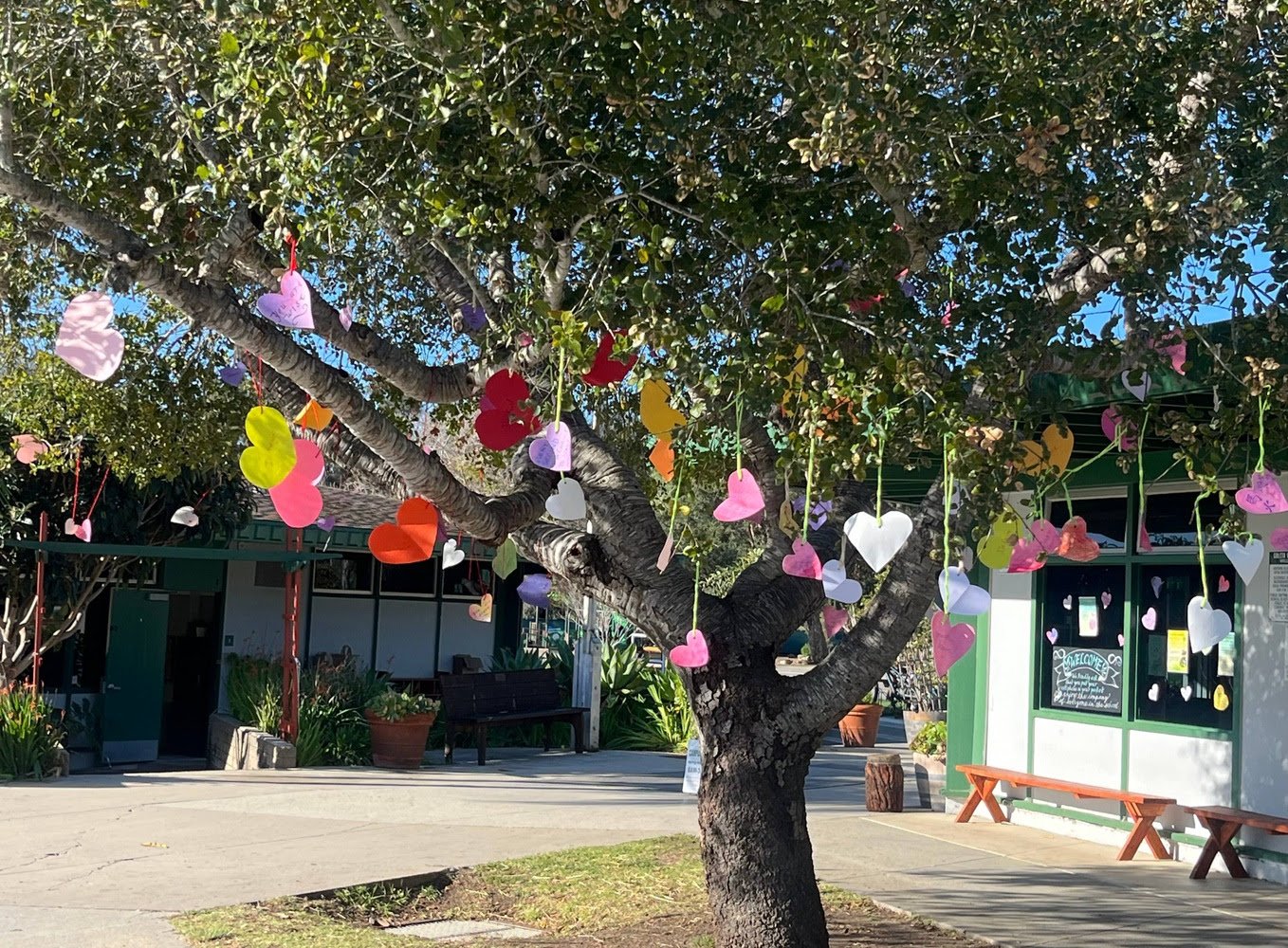 Happy Valentine's Day!