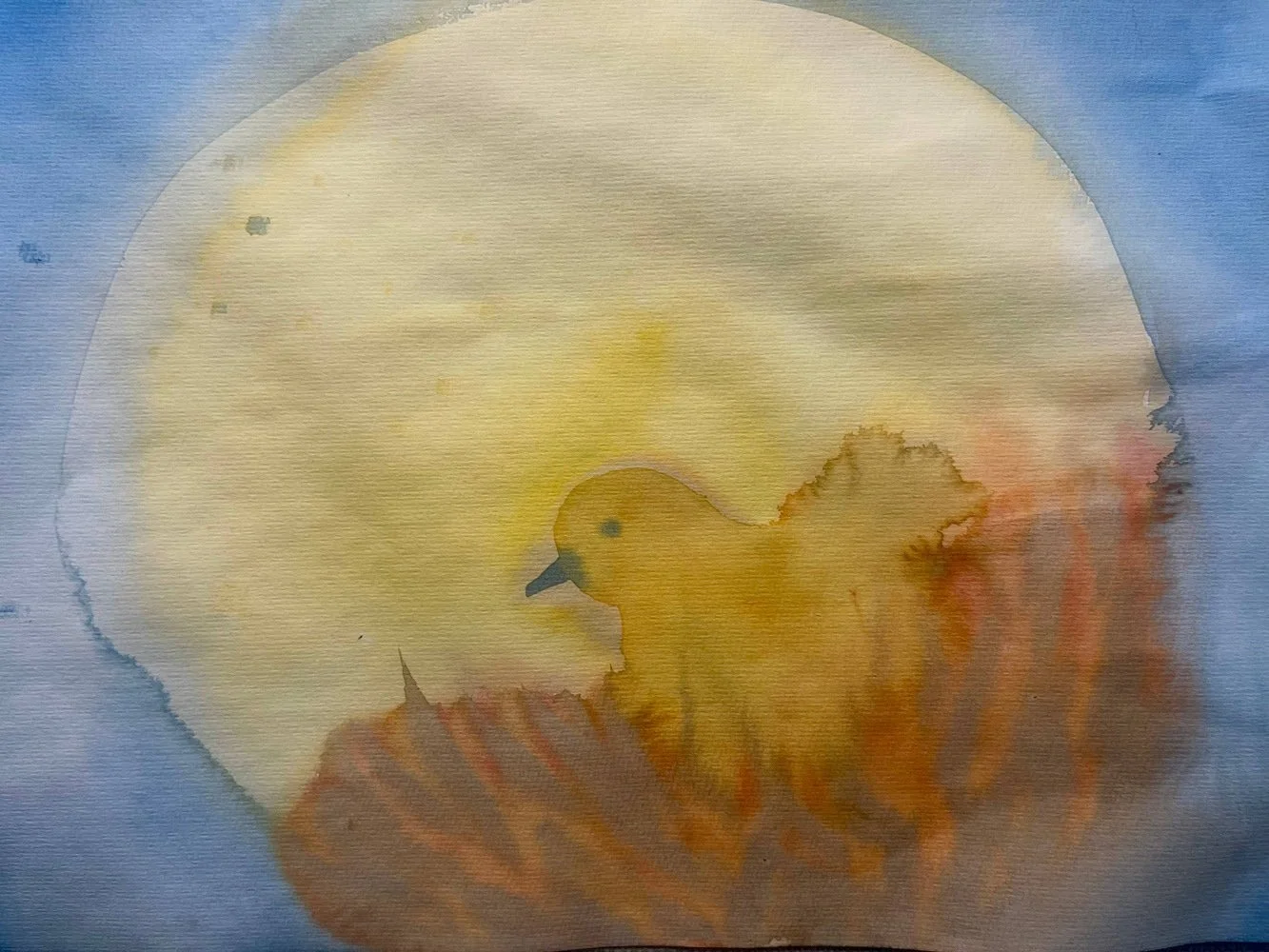 Save the Date Wholesome Hoedown!