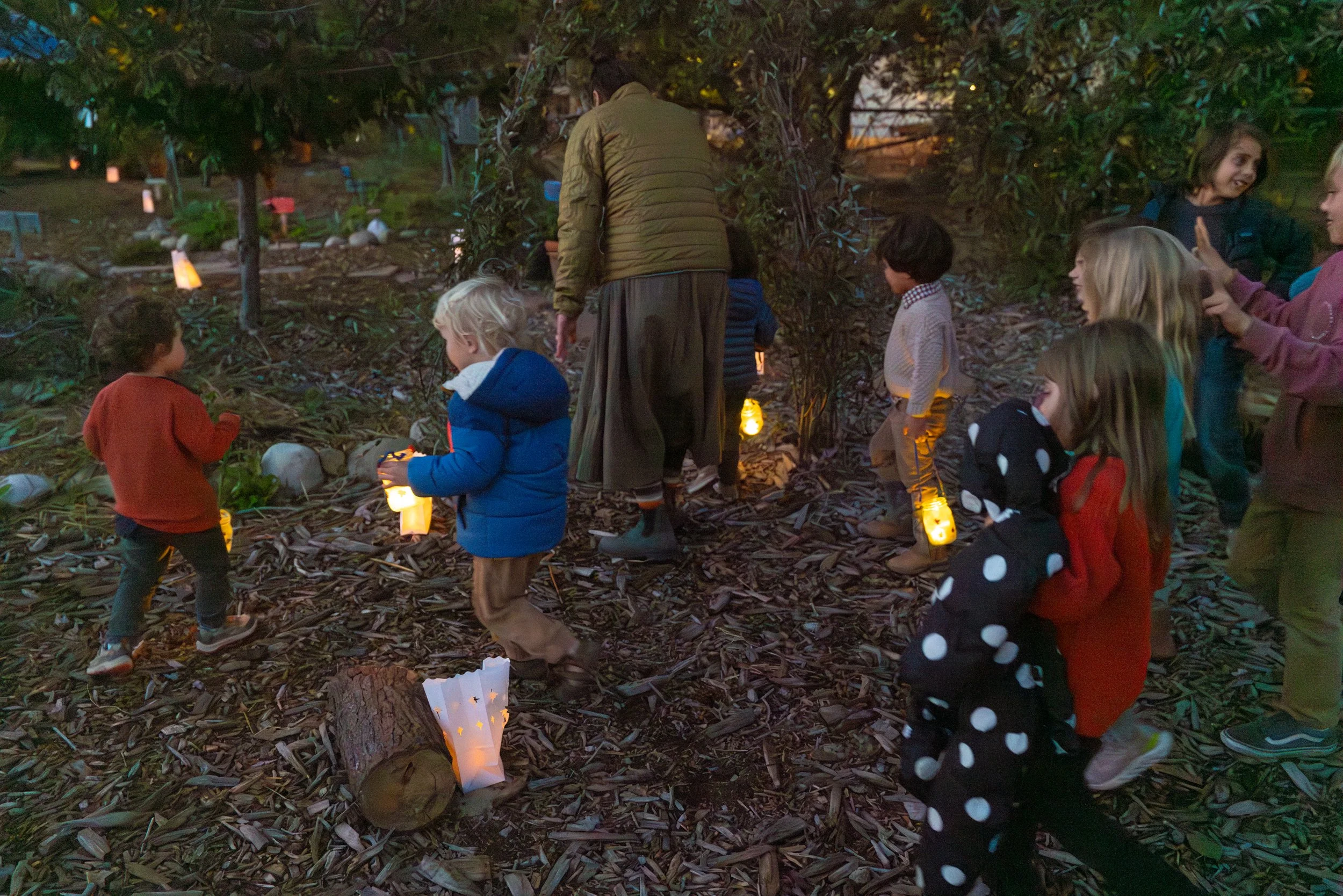 Children and adults participating in an outdoor lantern walk during dusk or evening in a forested area with fallen leaves, trees, and lanterns
