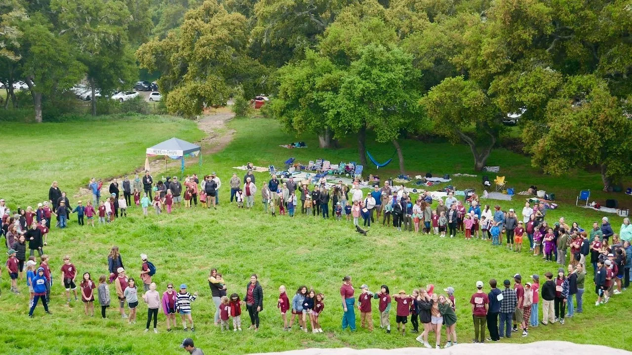 A large group of people, including children and adults, forming a human chain in a grassy field surrounded by trees during daytime.