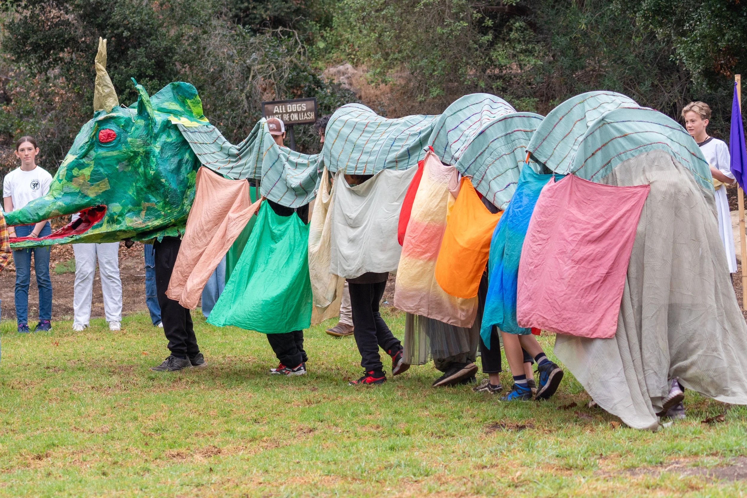 Children participating in a school play dressed as a colorful dragon with a scaly body, a green head with horns, and a long tail, on a grassy field.