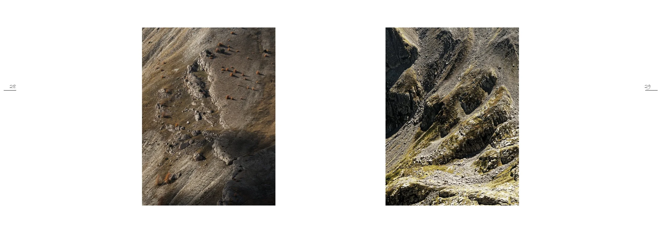 NATURE IMMERSIVE 3 - S. PALAZZETTI_14.jpg