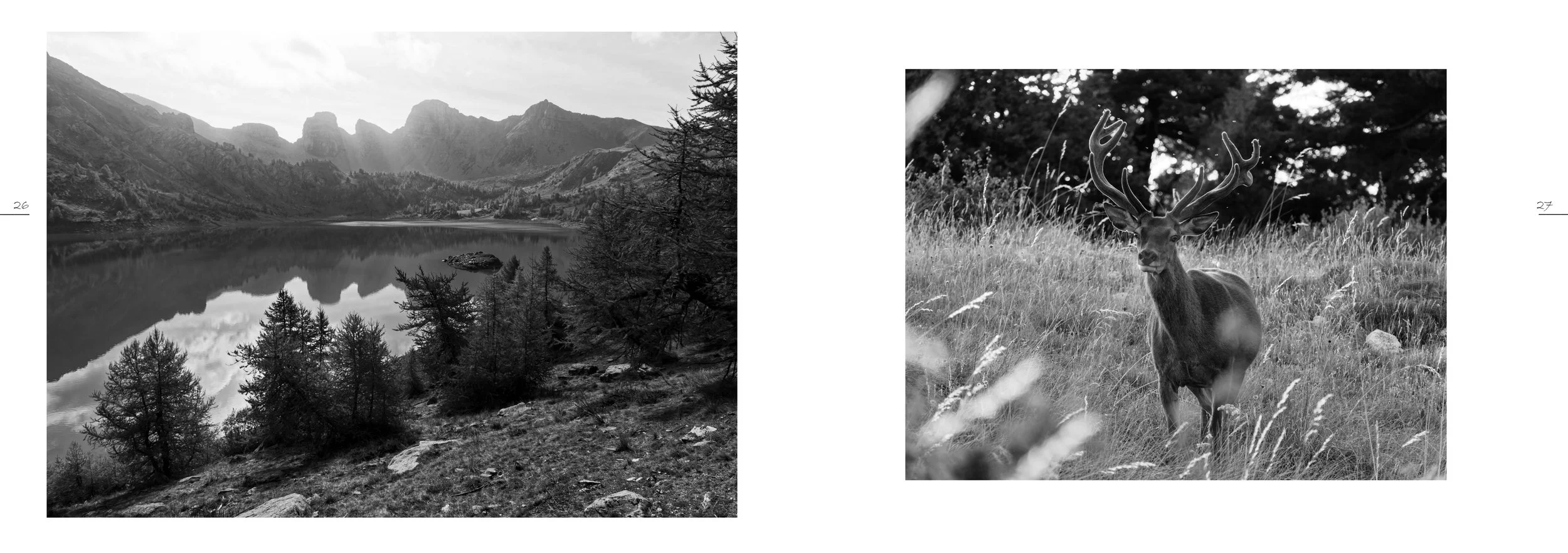 ZINE NB 2024 - VERSION 2_1_13.jpg