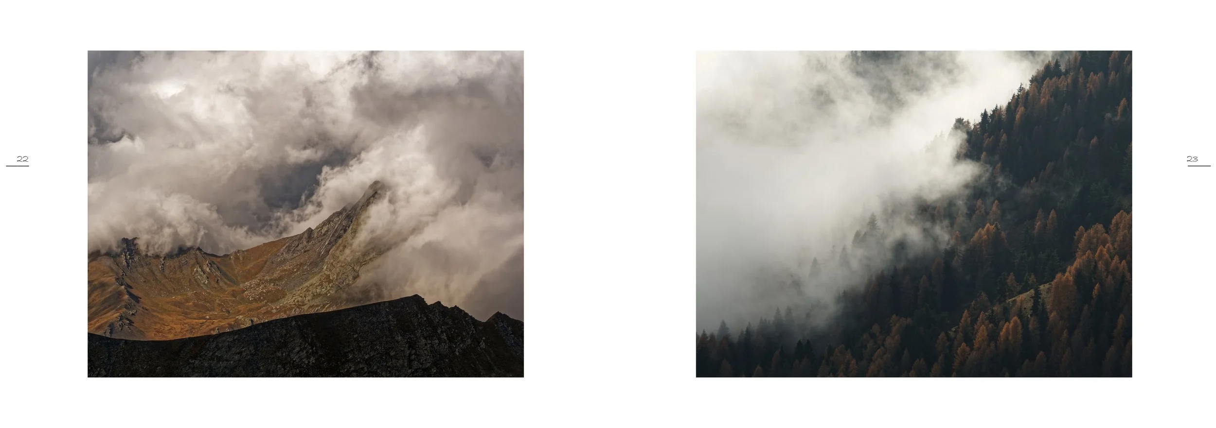 NATURE IMMERSIVE 3 - S. PALAZZETTI_11.jpg